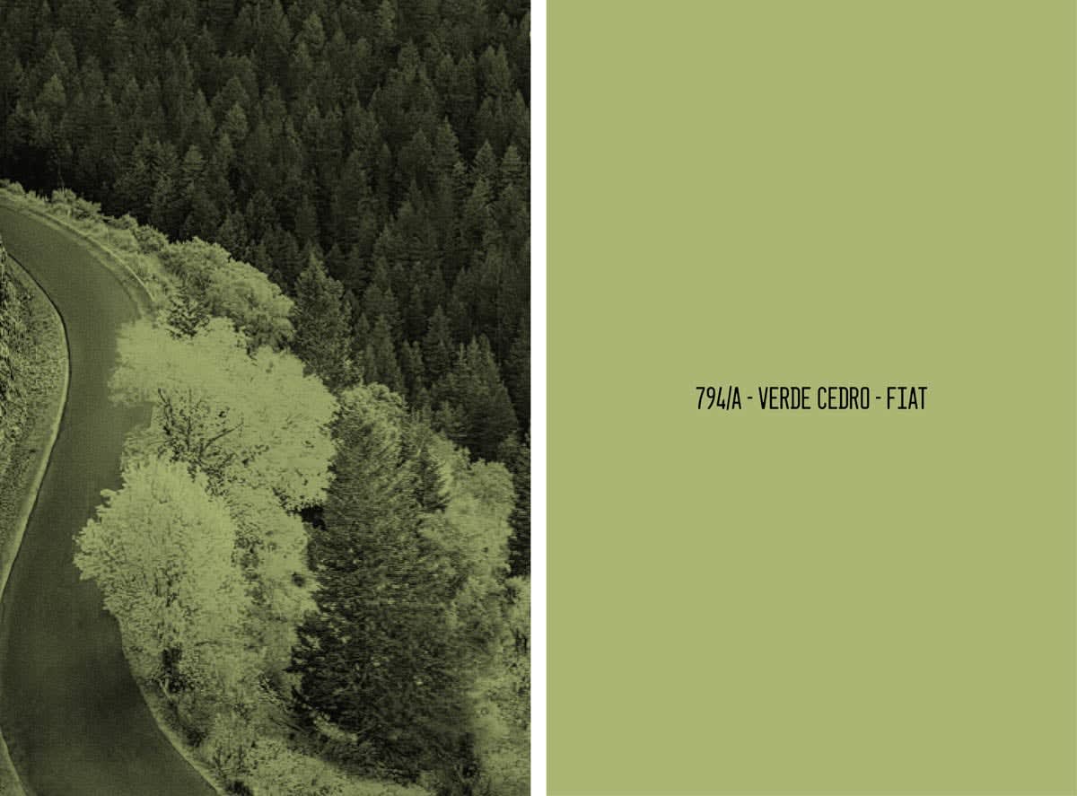 Mathieu Asselin, Undefined Landscape Jeep Grand Cherokee 2014 & 794/A - Verde Cedro - Fiat, 2023