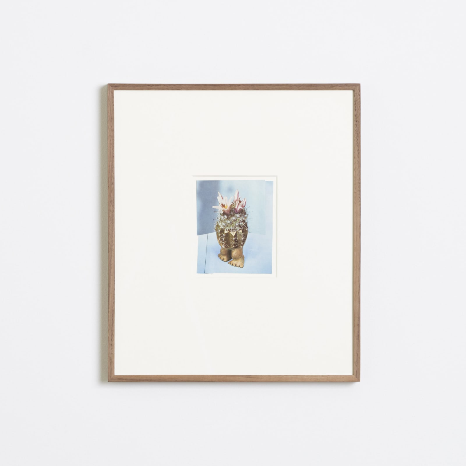 Ruth van Beek, Untitled (New Arrangements), 2014