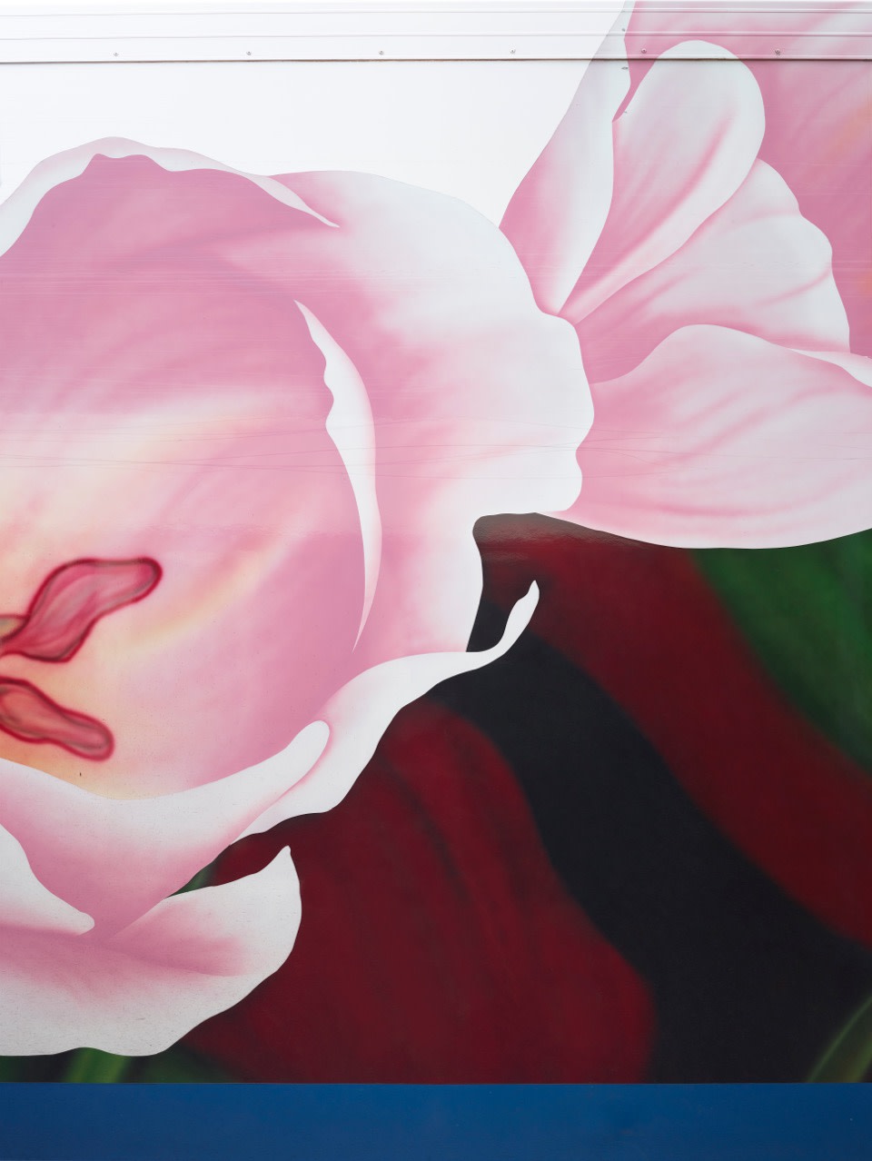 Scheltens & Abbenes, Trailer #1: Pink Tulip, 2016