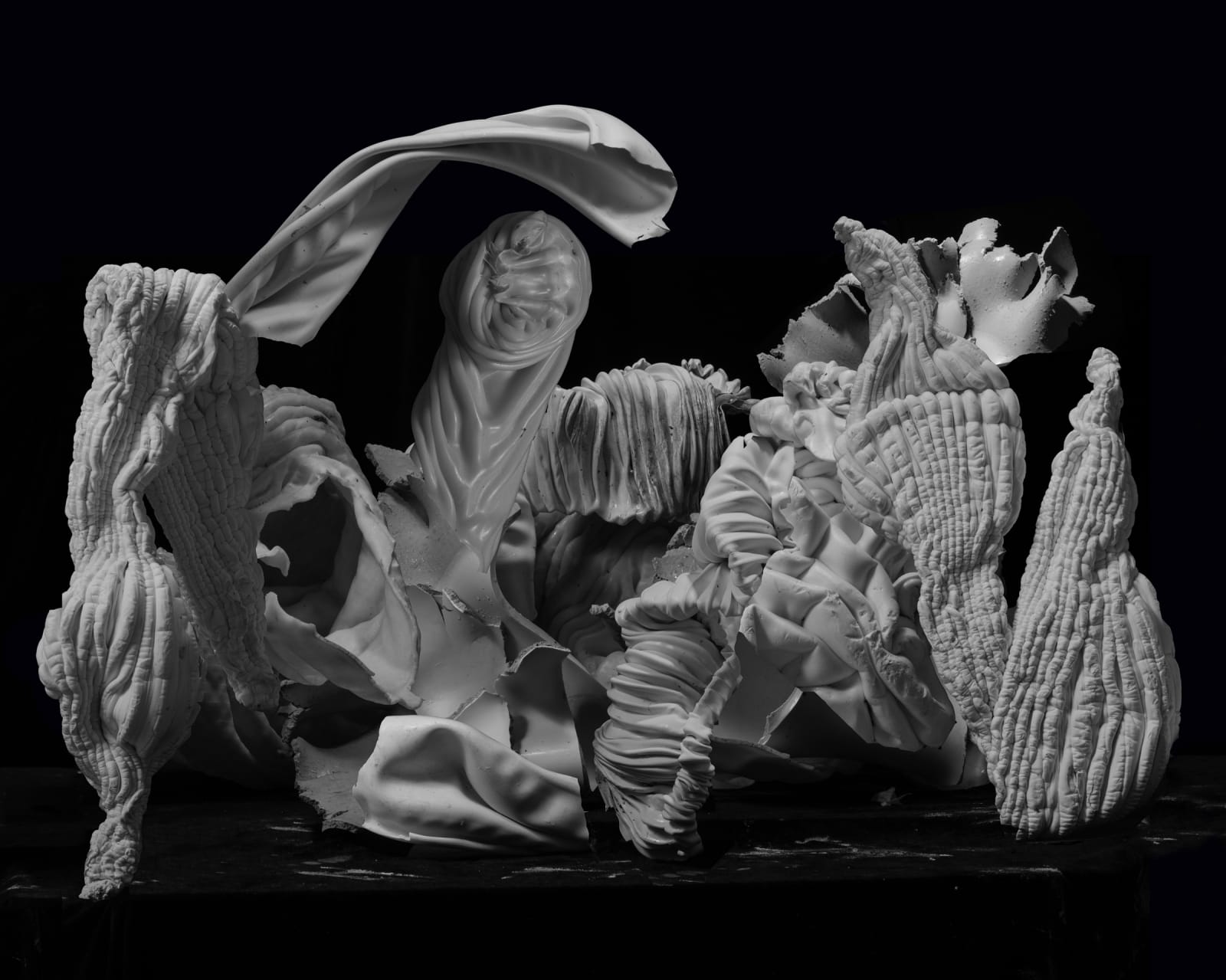 Nico Krijno, The Mesentery, 2018