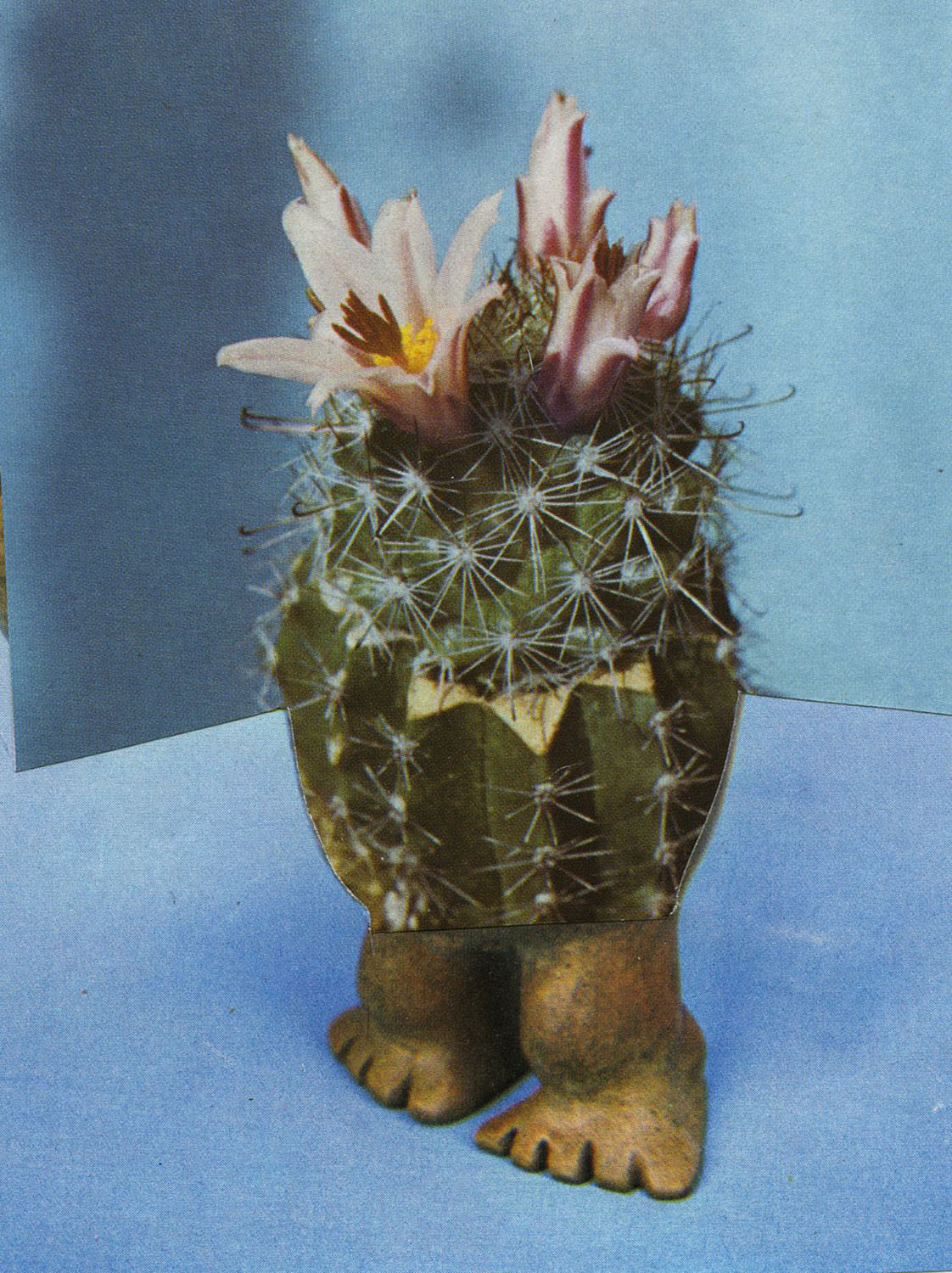 Ruth van Beek, Untitled (New Arrangements), 2014