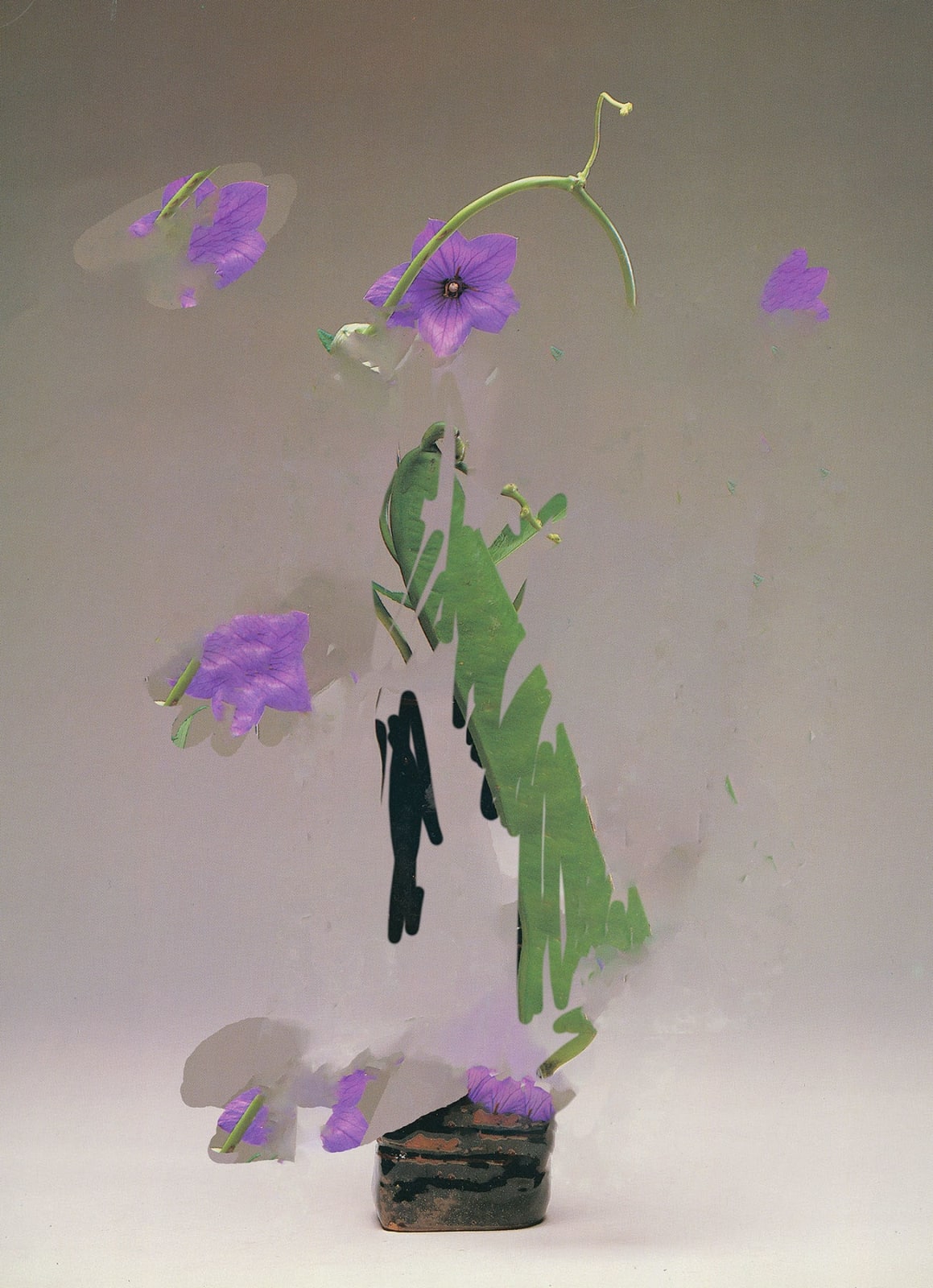 Nico Krijno, The Constellation #056, 2022