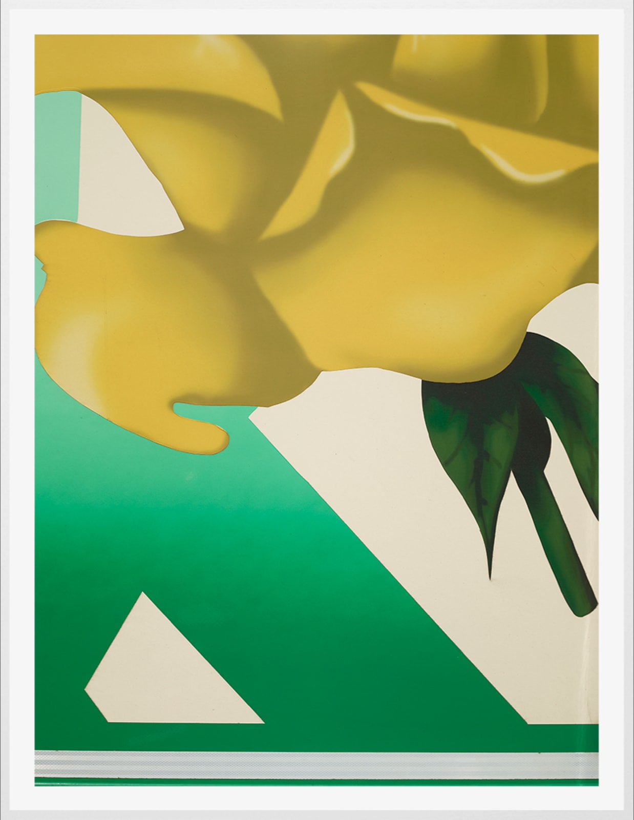 Scheltens & Abbenes, Trailer #5: Yellow Rosa, 2016