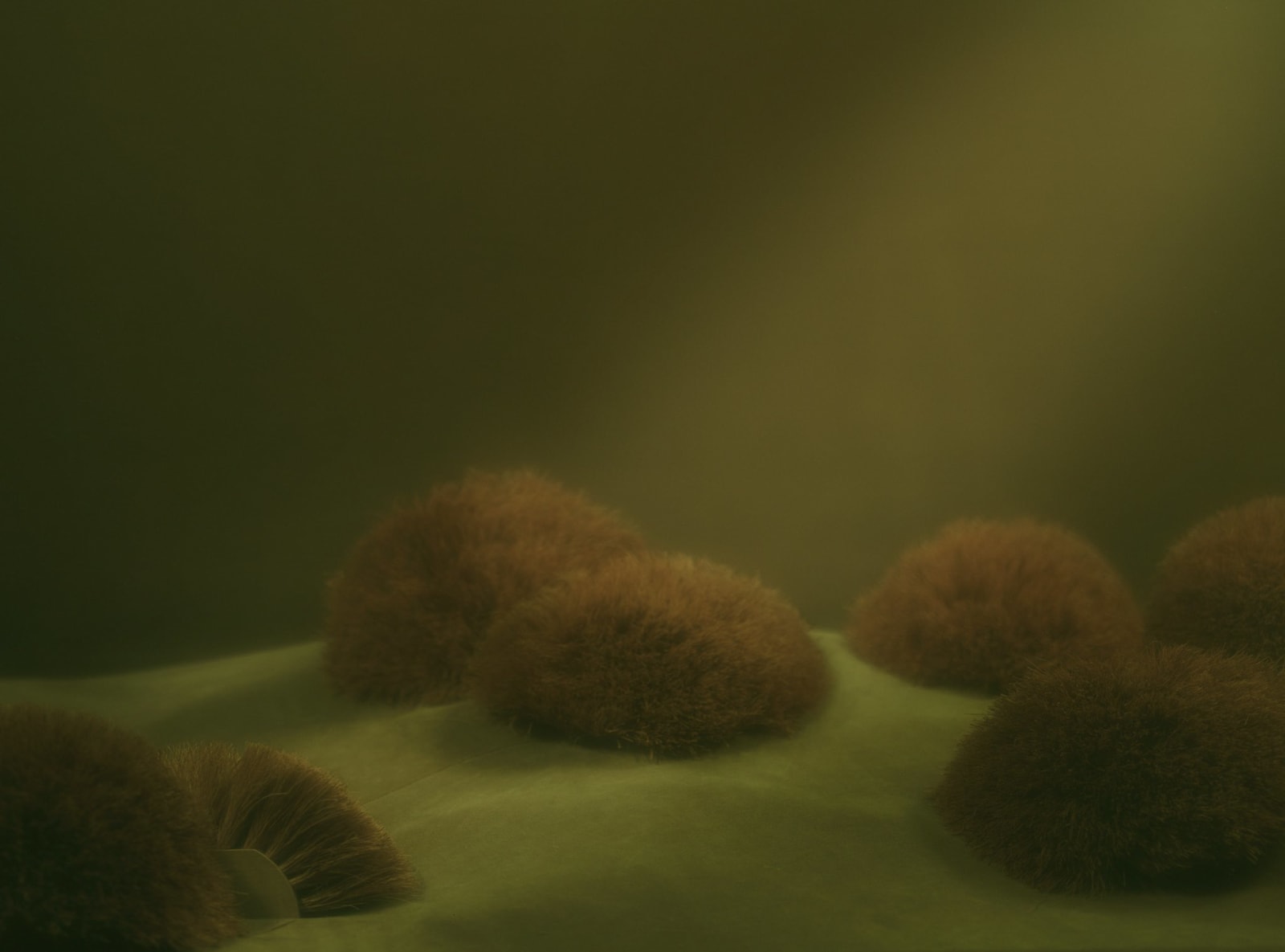 Koen Hauser, Oceanica, No. 3 , 2007