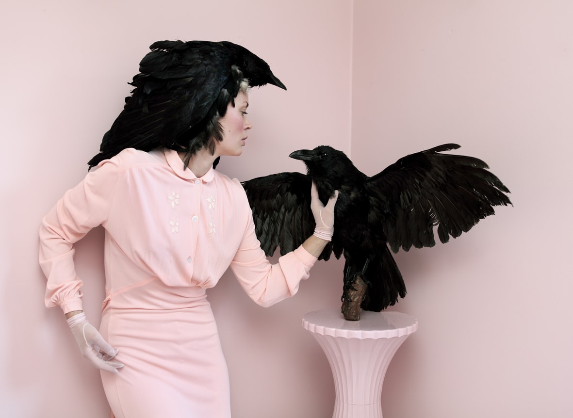 Anja Niemi, The Taxidermist, 2013