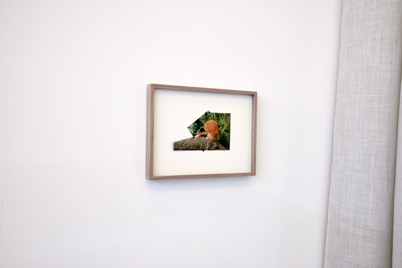 Ruth van Beek, Untitled (From the forest), 2016