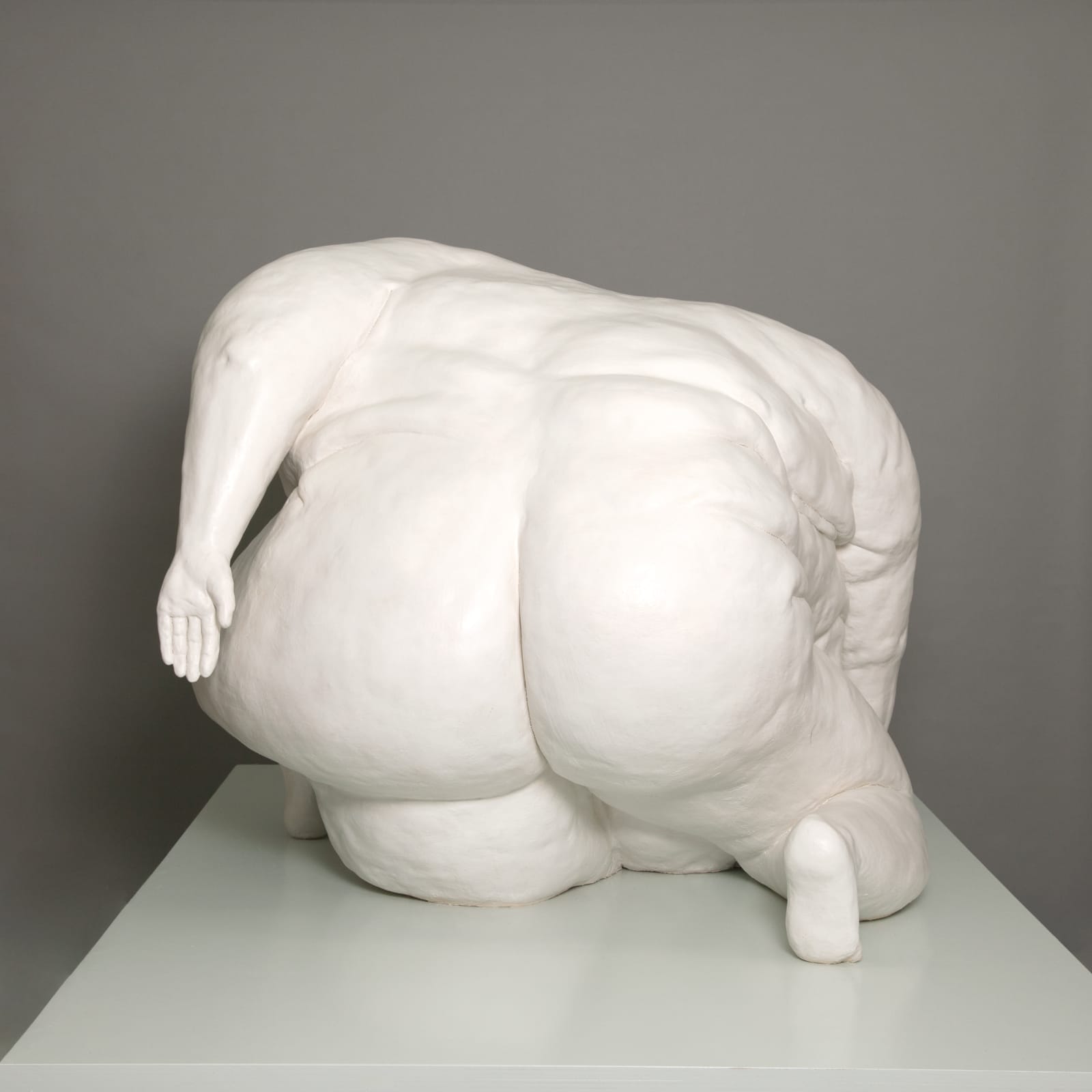 Mariken Wessels, Arising from the Ground - Model Cox II, 2018
