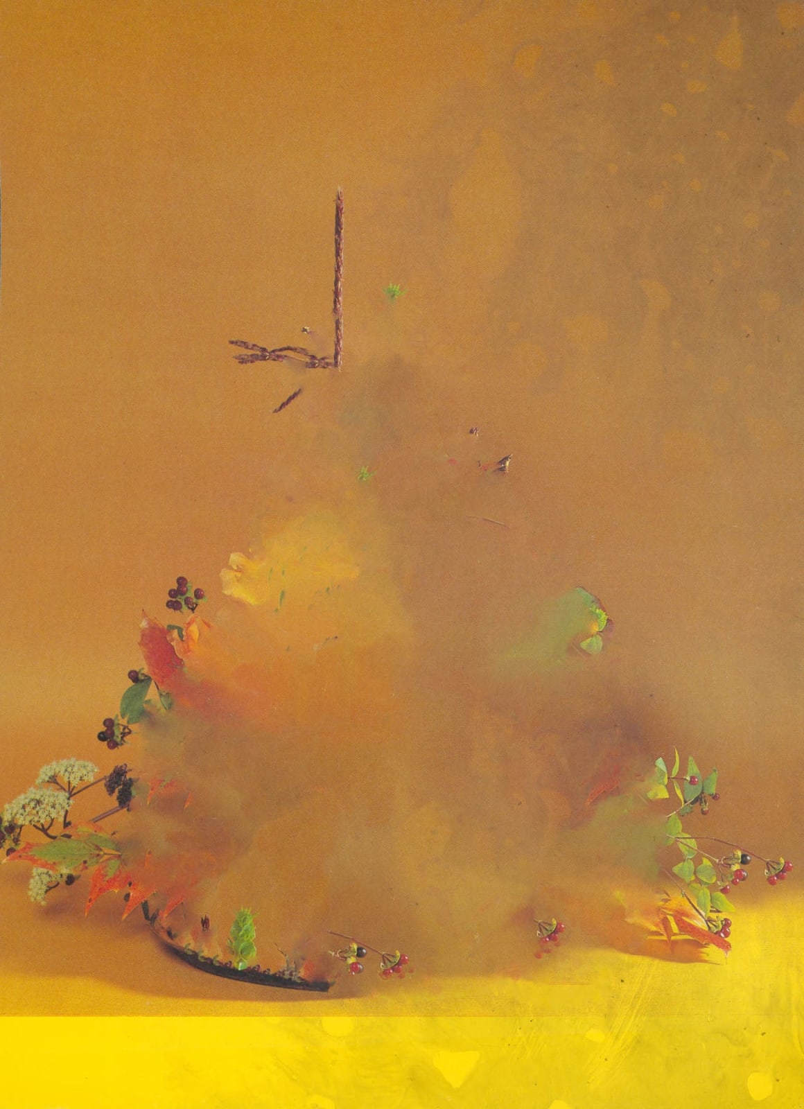 Nico Krijno, The Constellation #040, 2022