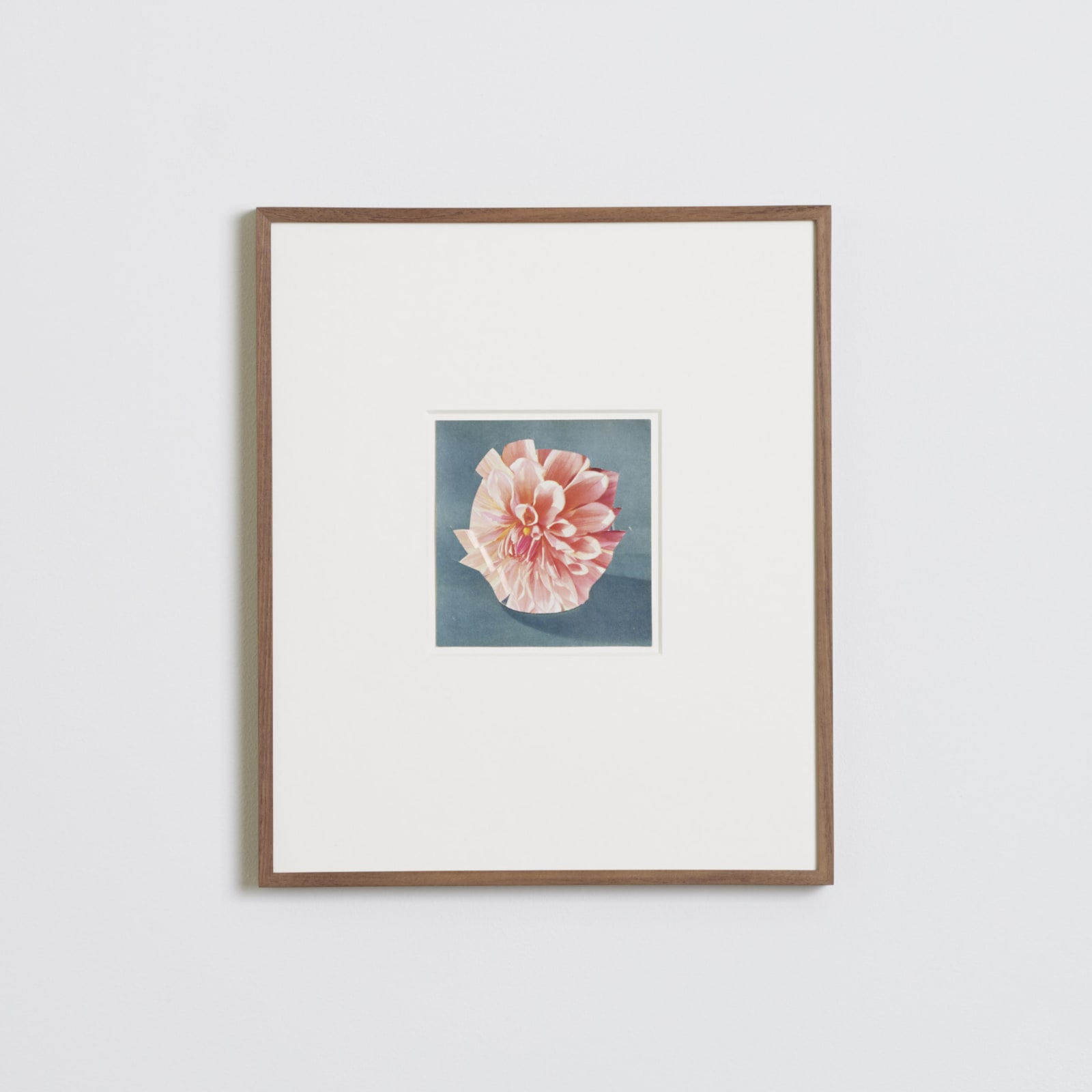 Ruth van Beek, Untitled (The Arrangement), 2012