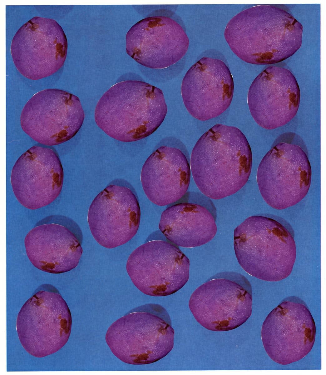 Ruth van Beek, Everbearing Varieties, 2020