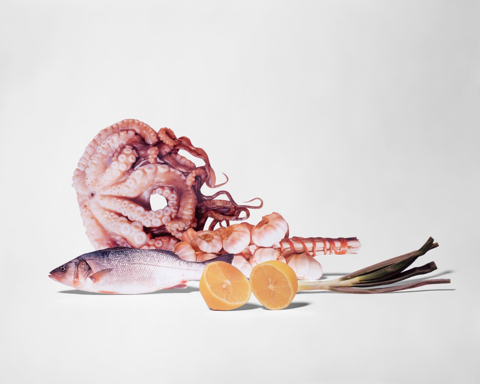 Scheltens & Abbenes, Still Life without Food #5, 2001