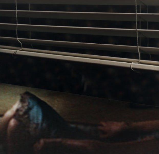 Martina Sauter, Jalousie, 2013