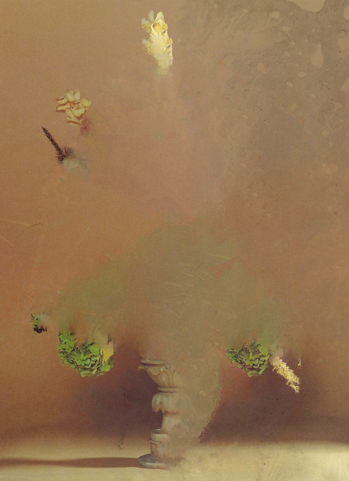 Nico Krijno, The Constellation #030, 2022