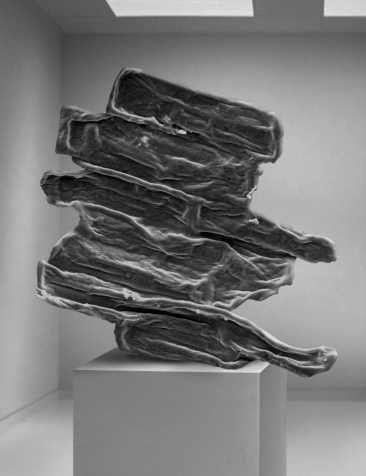 Koen Hauser, Biobased II, 2013
