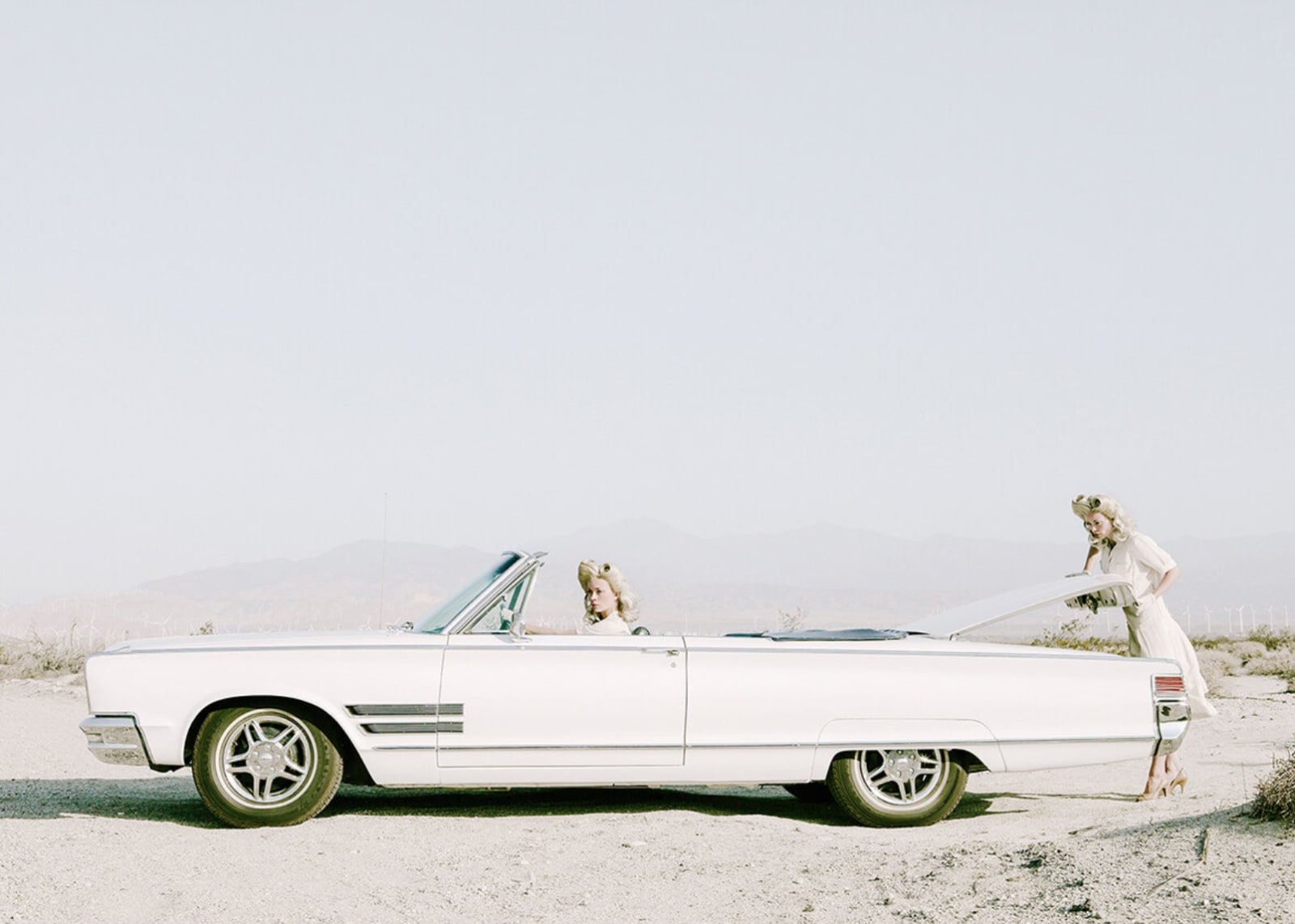 Anja Niemi, The Trunk , 2014
