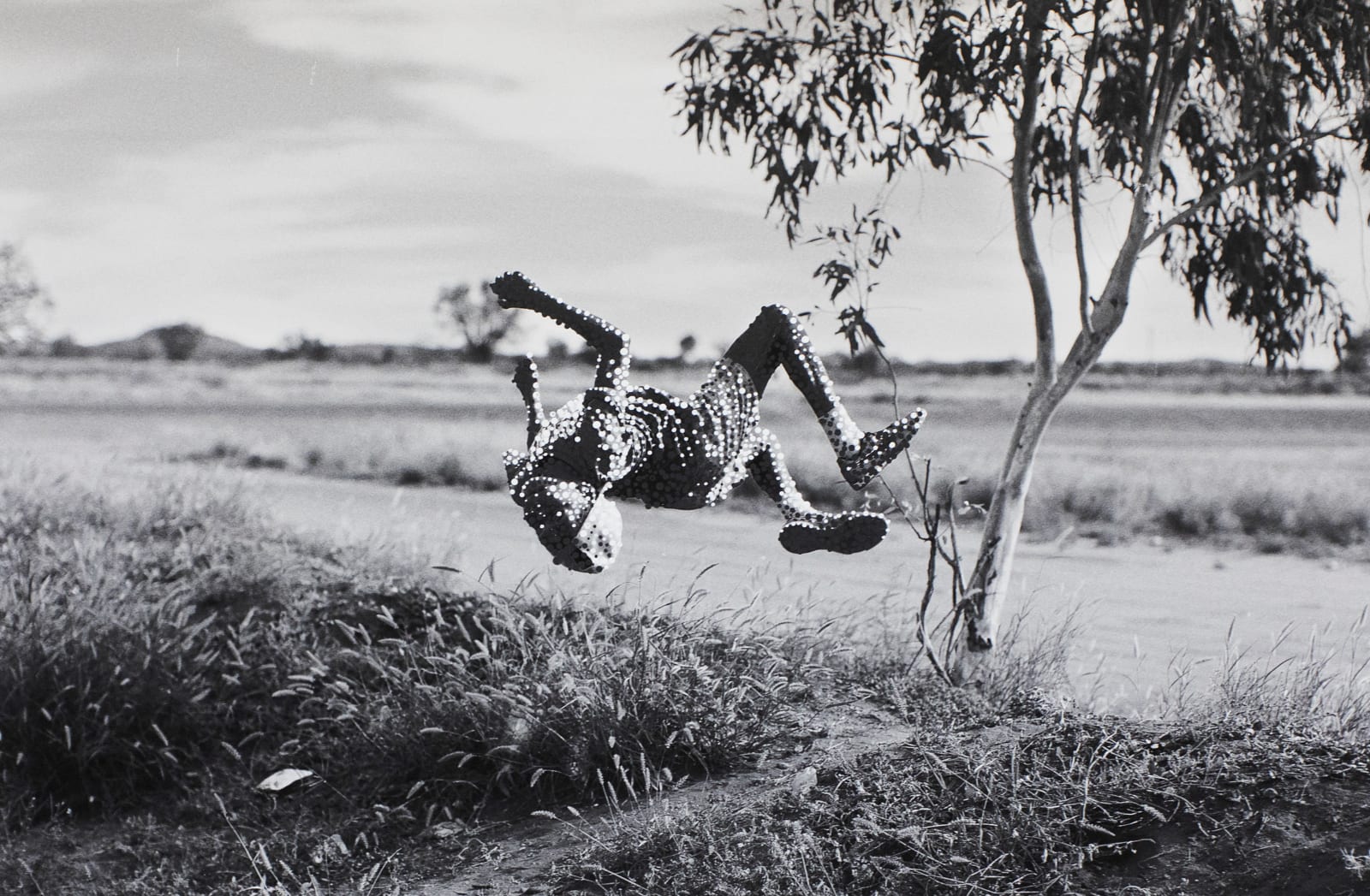 Patrick Waterhouse, What's the Light Light Dark Dark Point Point? Jarra / Restricted in workshop at Warkukurlangu Art Centre, 2014 - 2018