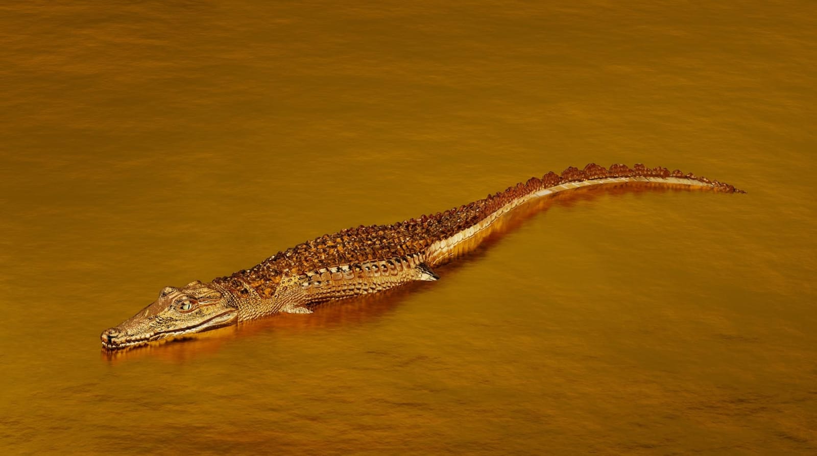 Vincent Fournier, Crocodile Gemmé (Crocodilus lapis) Gardien du temps, 2022