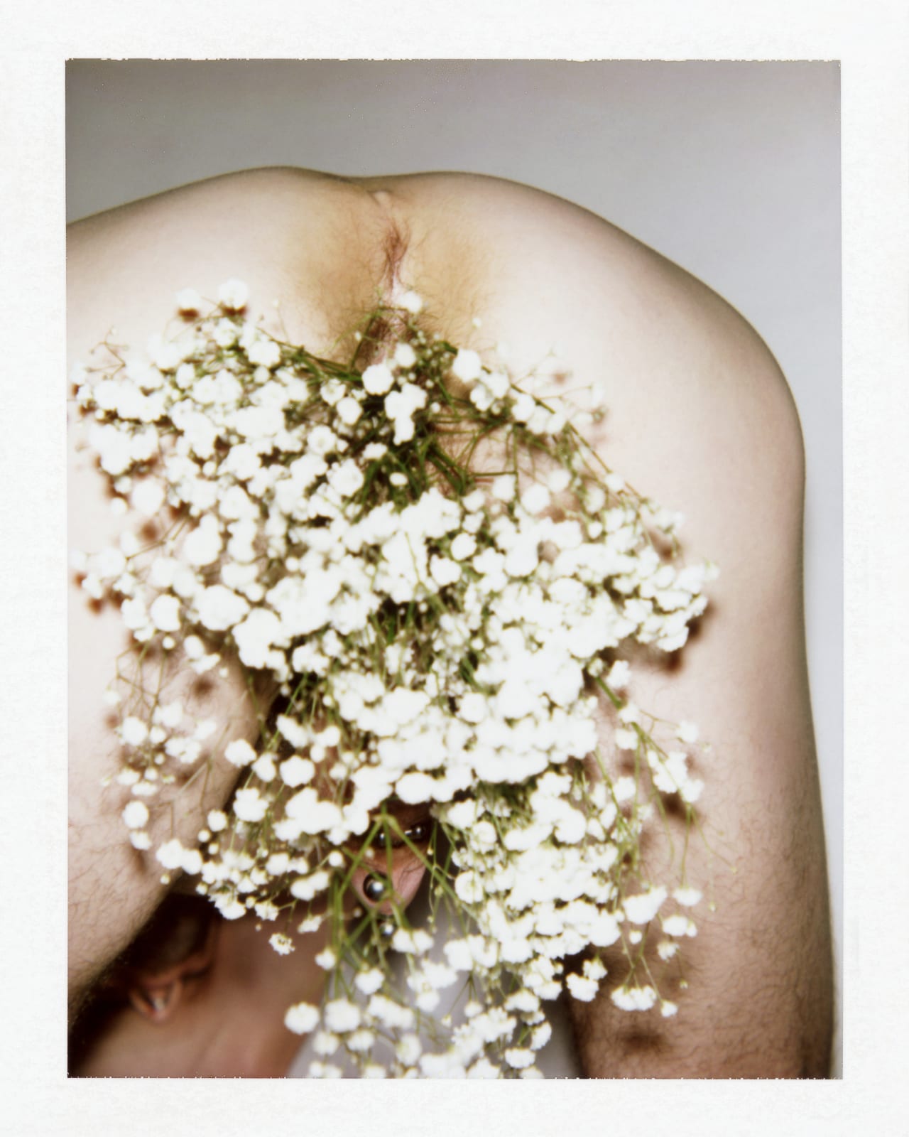 Ferry van der Nat, Jason 'Gypsophila' (August), 2018