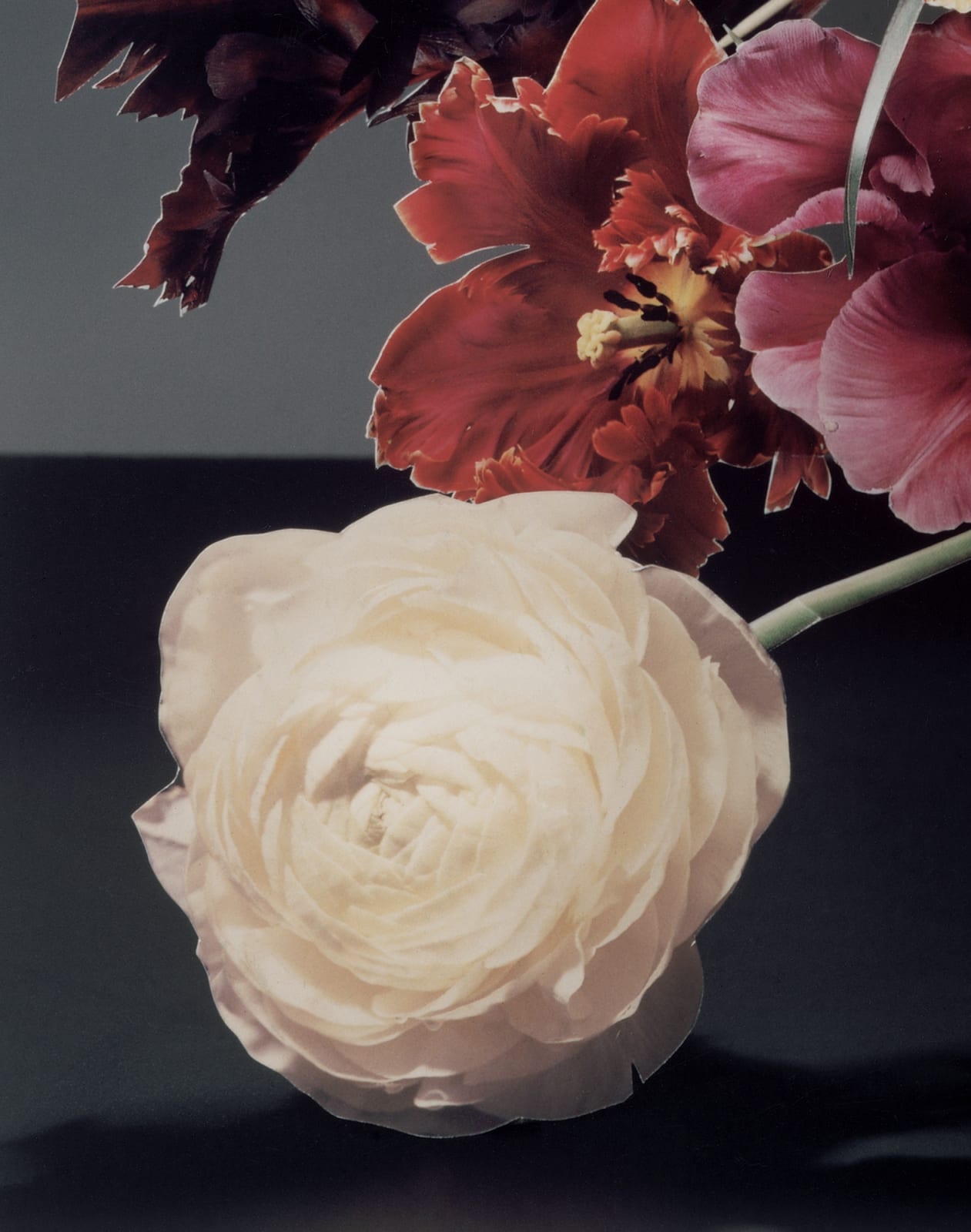 Scheltens & Abbenes, Bouquet V, 2005