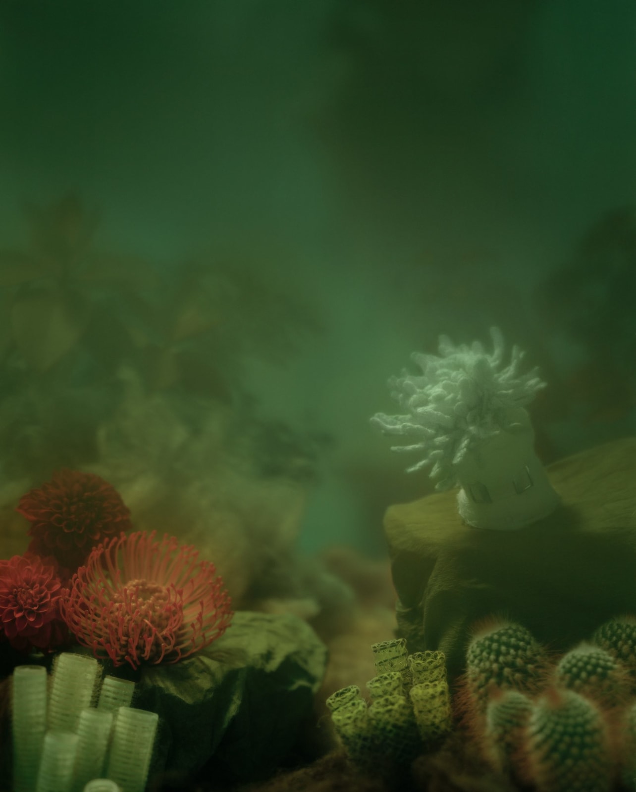 Koen Hauser, Oceanica, No. 1, 2007