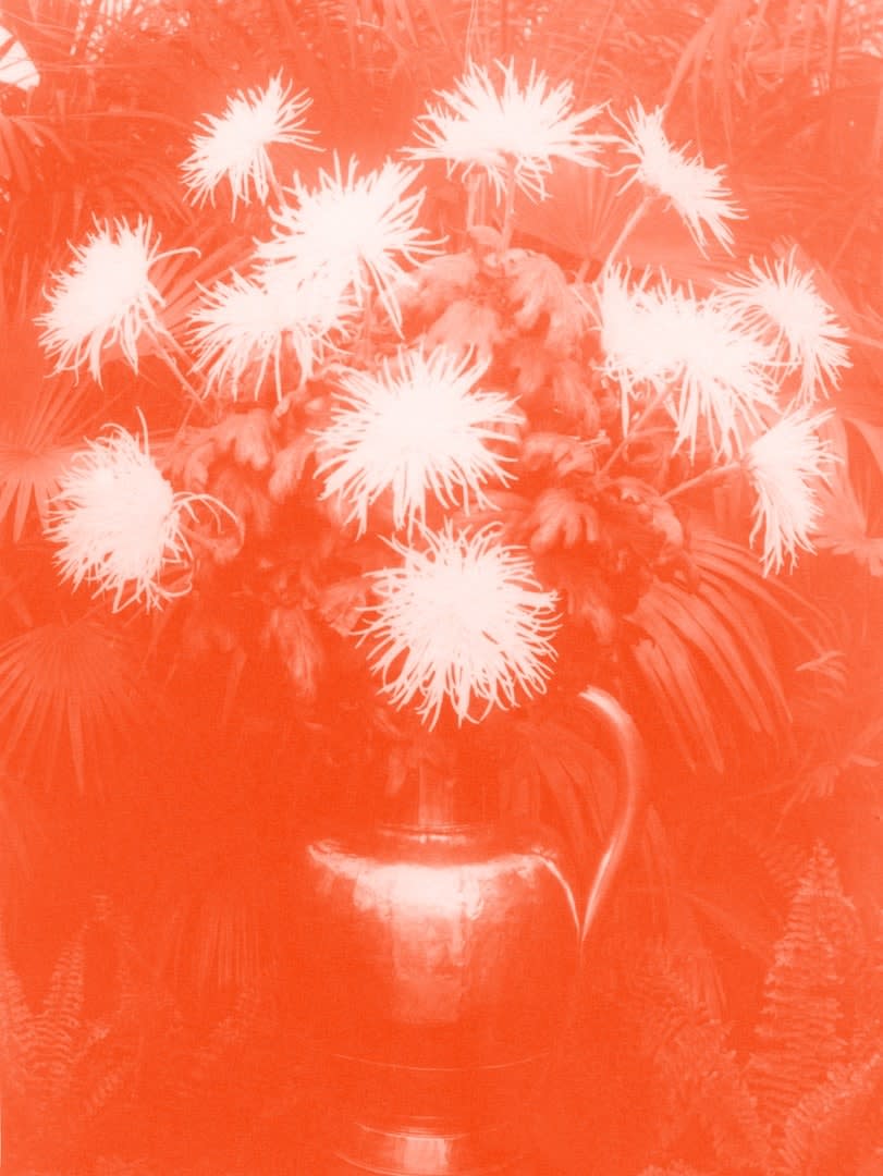 Koen Hauser, De Luister van het Land, Bloemen, 2008