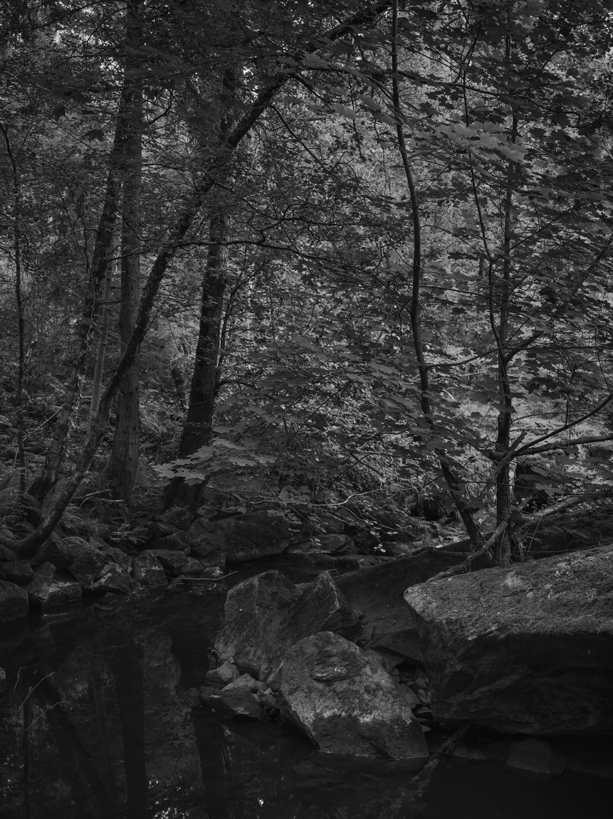 Anja Niemi, Black Water, 2021