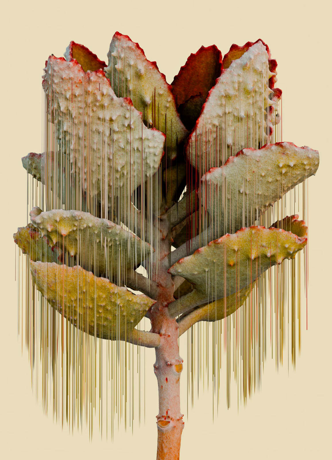 Vincent Fournier, Flora Incognita, 2022