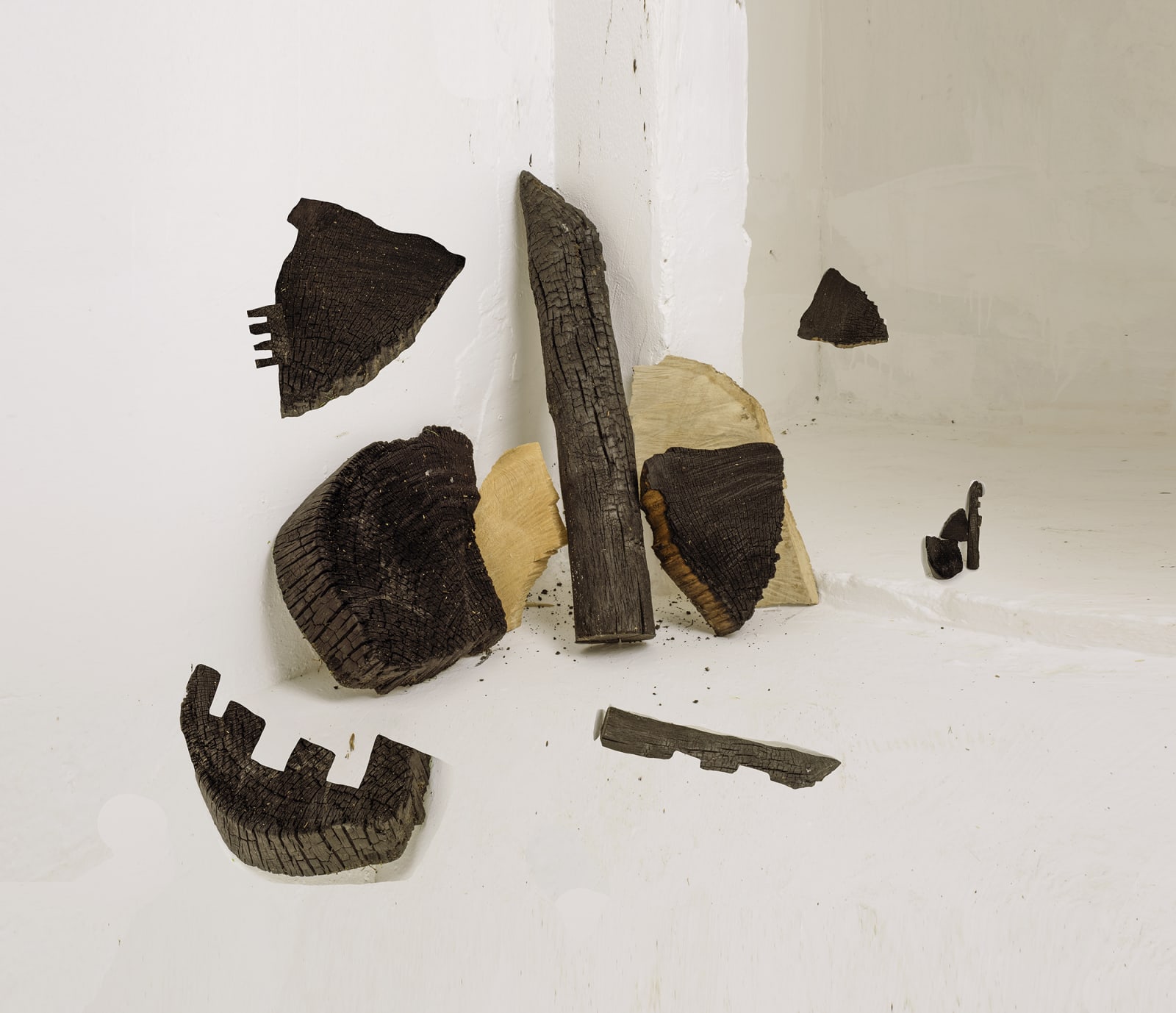 Nico Krijno, Sculpture Study with Burnt Wood,, 2016