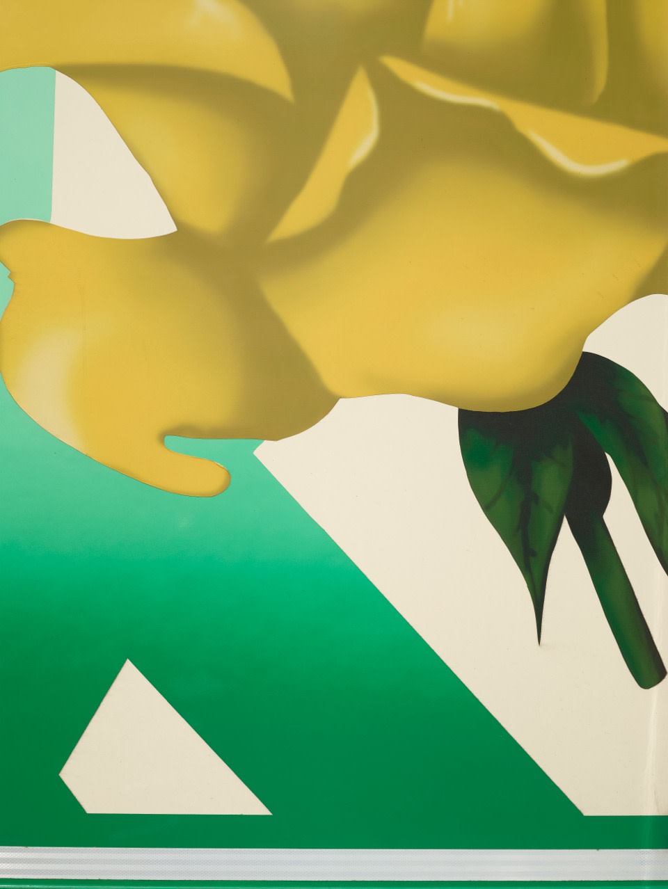 Scheltens & Abbenes, Trailer #5: Yellow Rosa, 2016