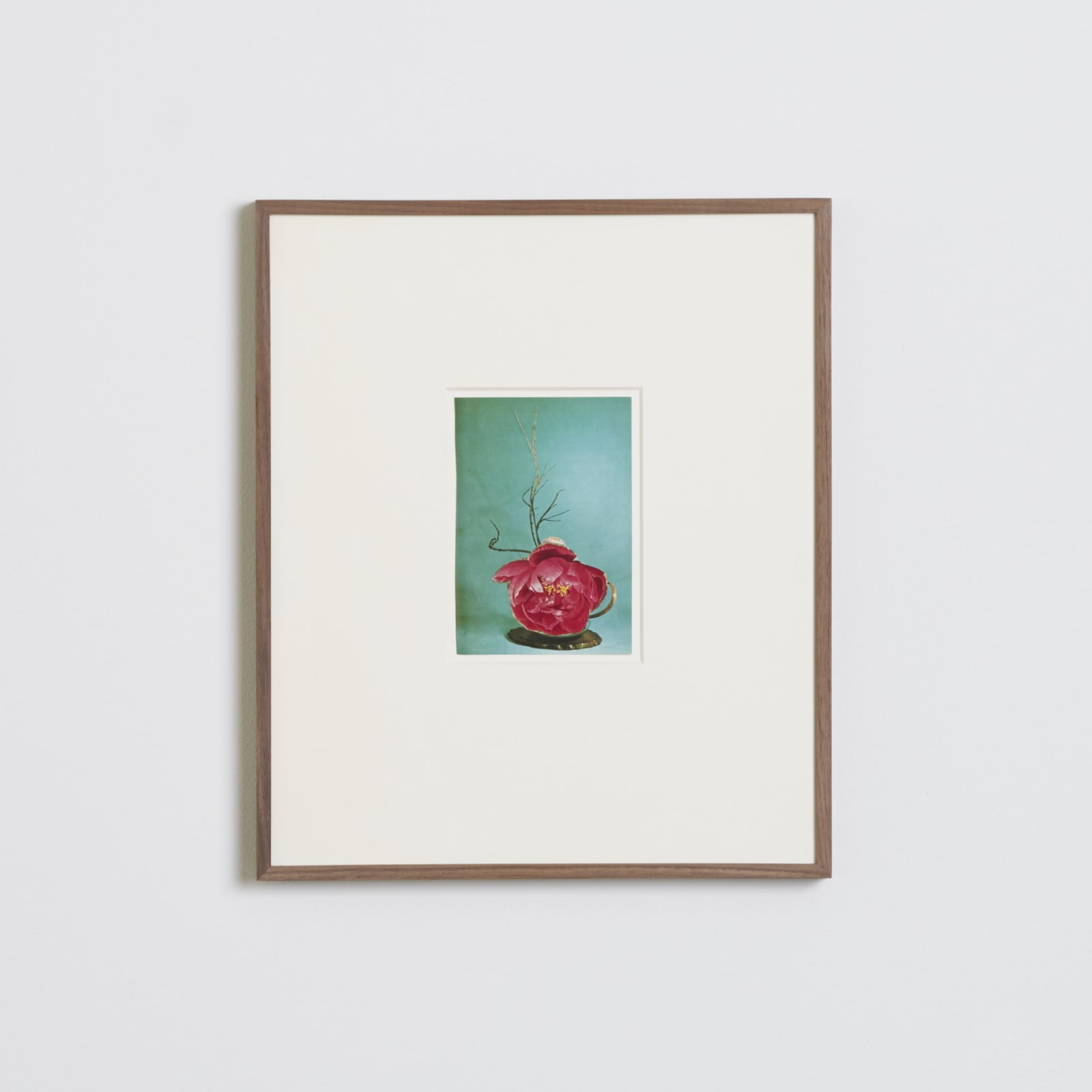 Ruth van Beek, Untitled (The Arrangement), 2012