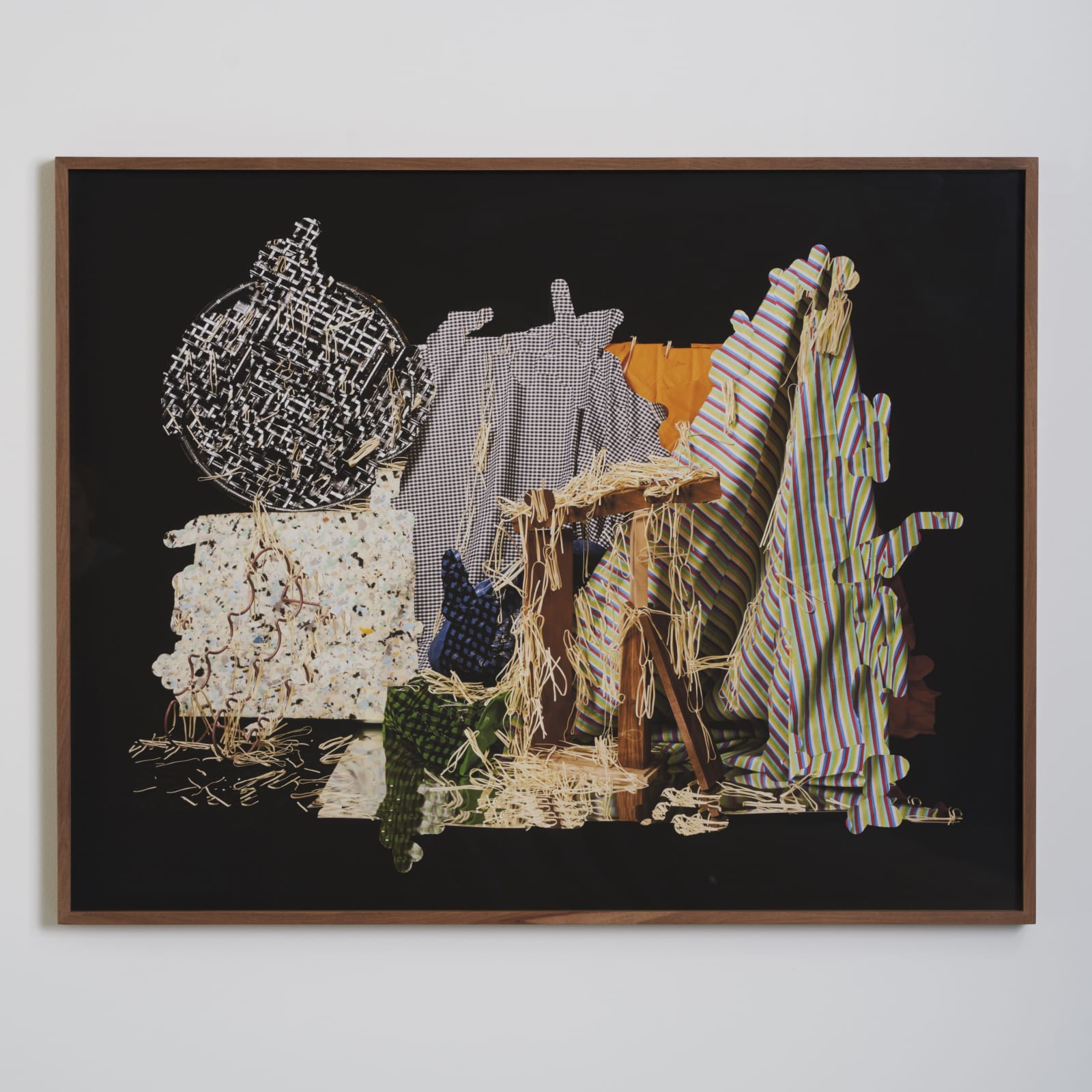 Nico Krijno, Five Easy Pieces , 2015