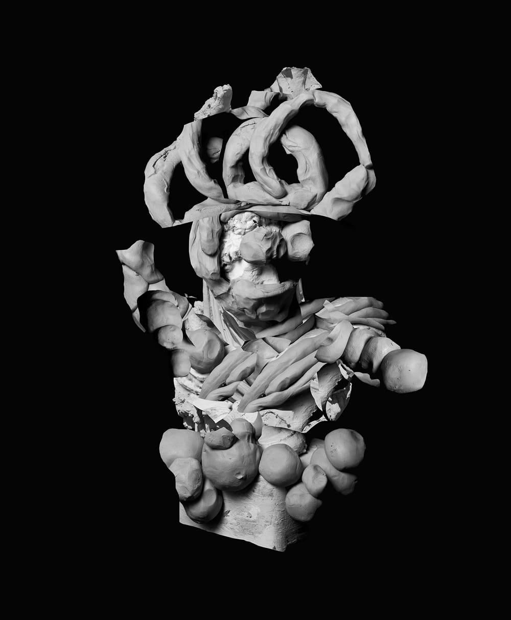 Nico Krijno, The Warrior Version 2, 2014