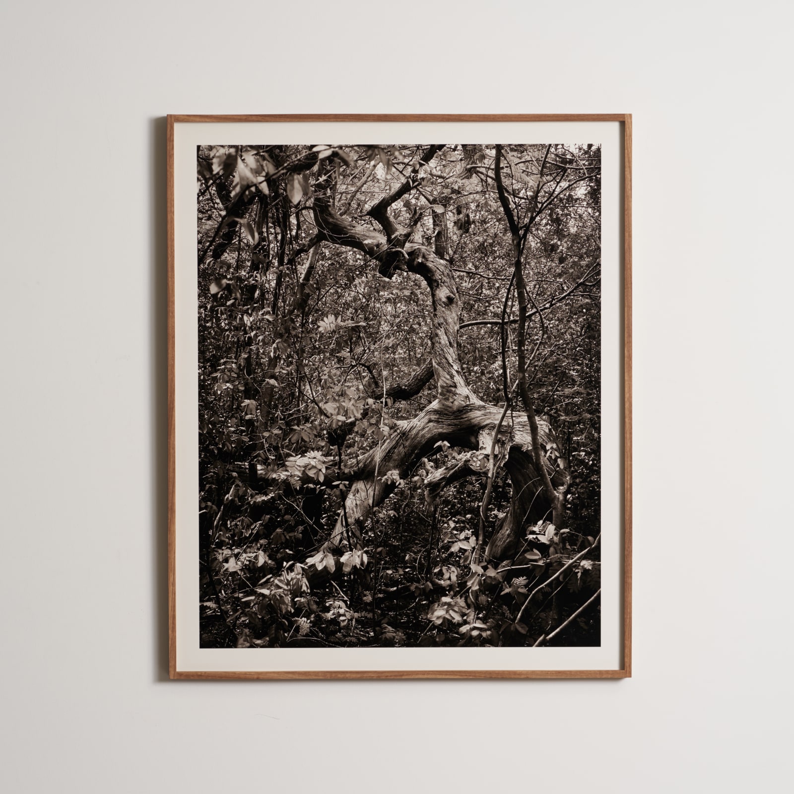 Mark Nettenbreijers, Rise & Fall VII, 2013