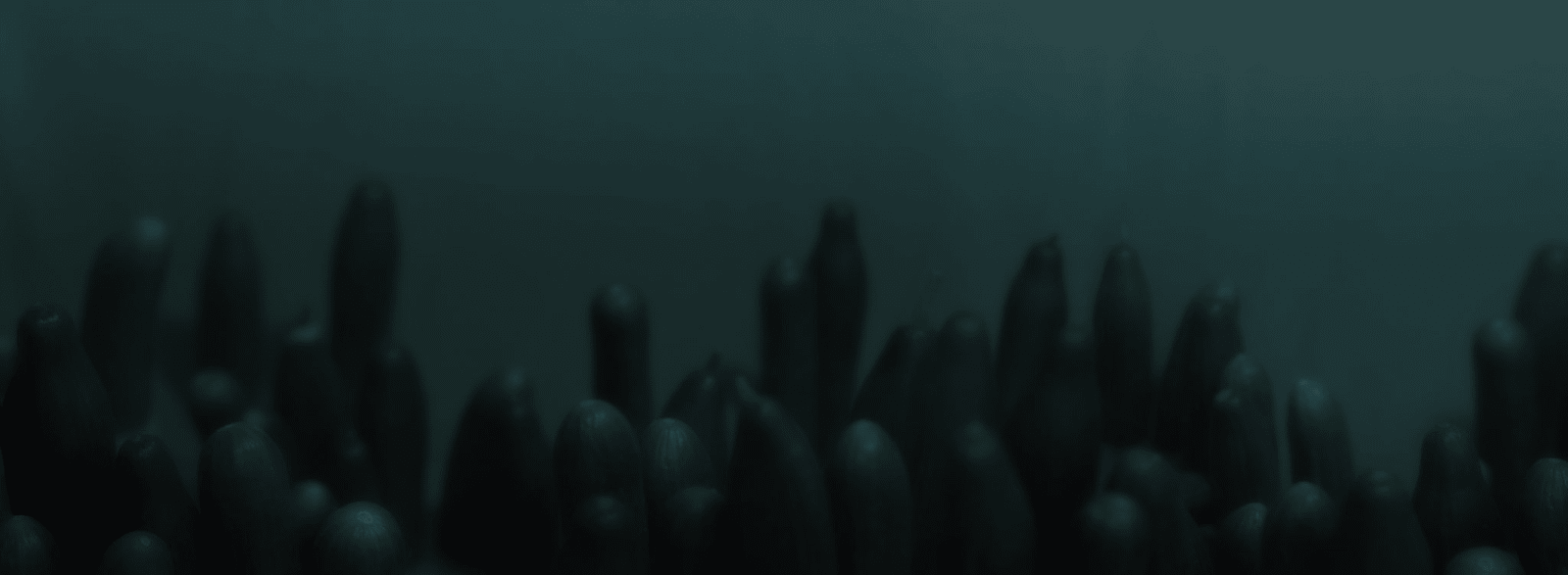 Koen Hauser, Oceanica, No. 2, 2007