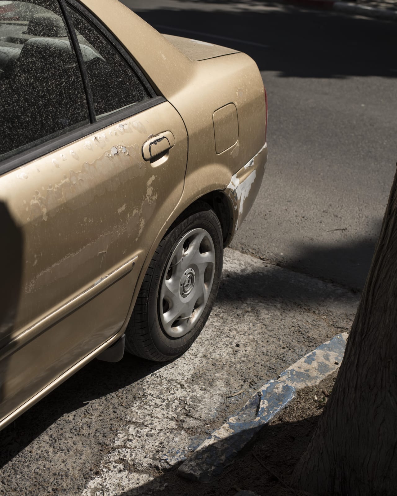 Jan Rosseel, Car, 2019