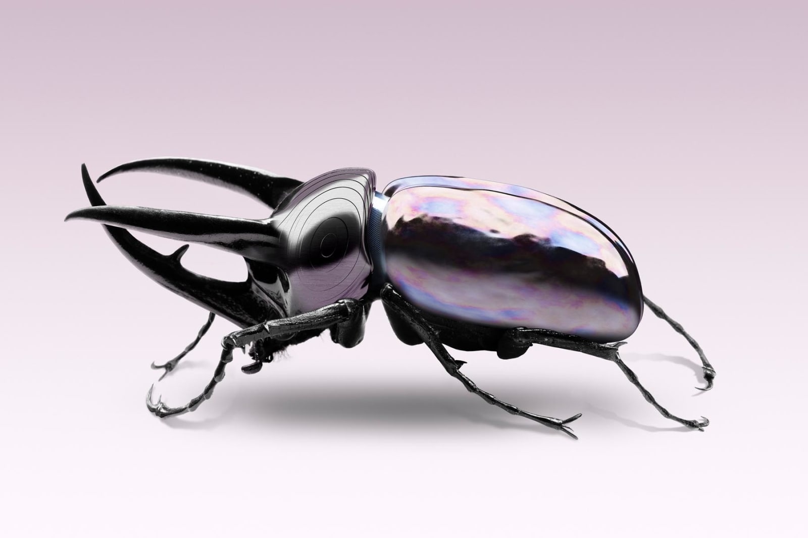 Vincent Fournier, Scarabée Brownleeite (Scarabæus brownleeite) Source d’énergie cosmique, 2022