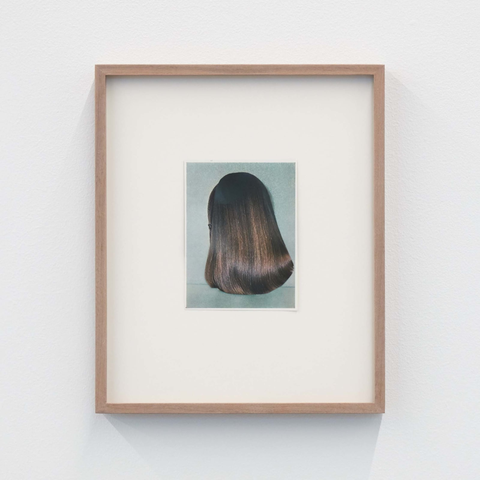 Ruth van Beek, Untitled (hair 2), 2016