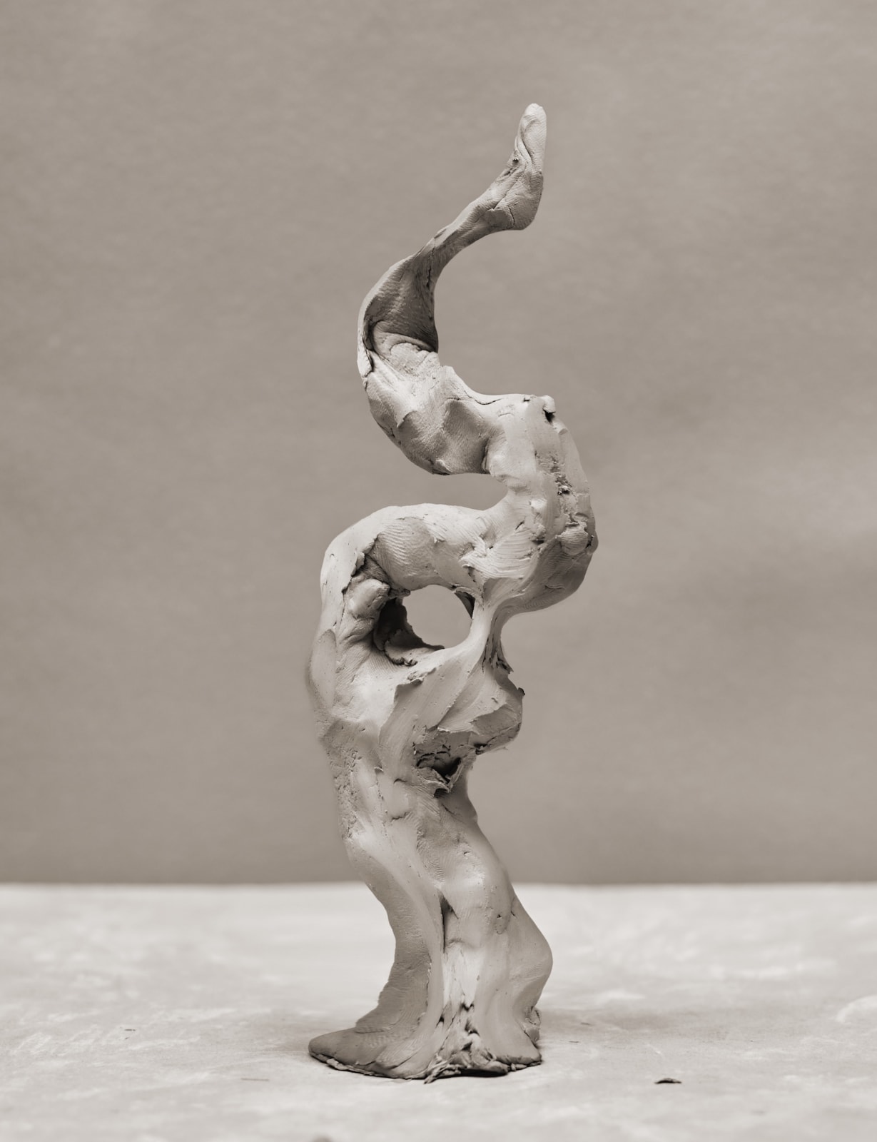 Koen Hauser, The Little Transcendant, 2019