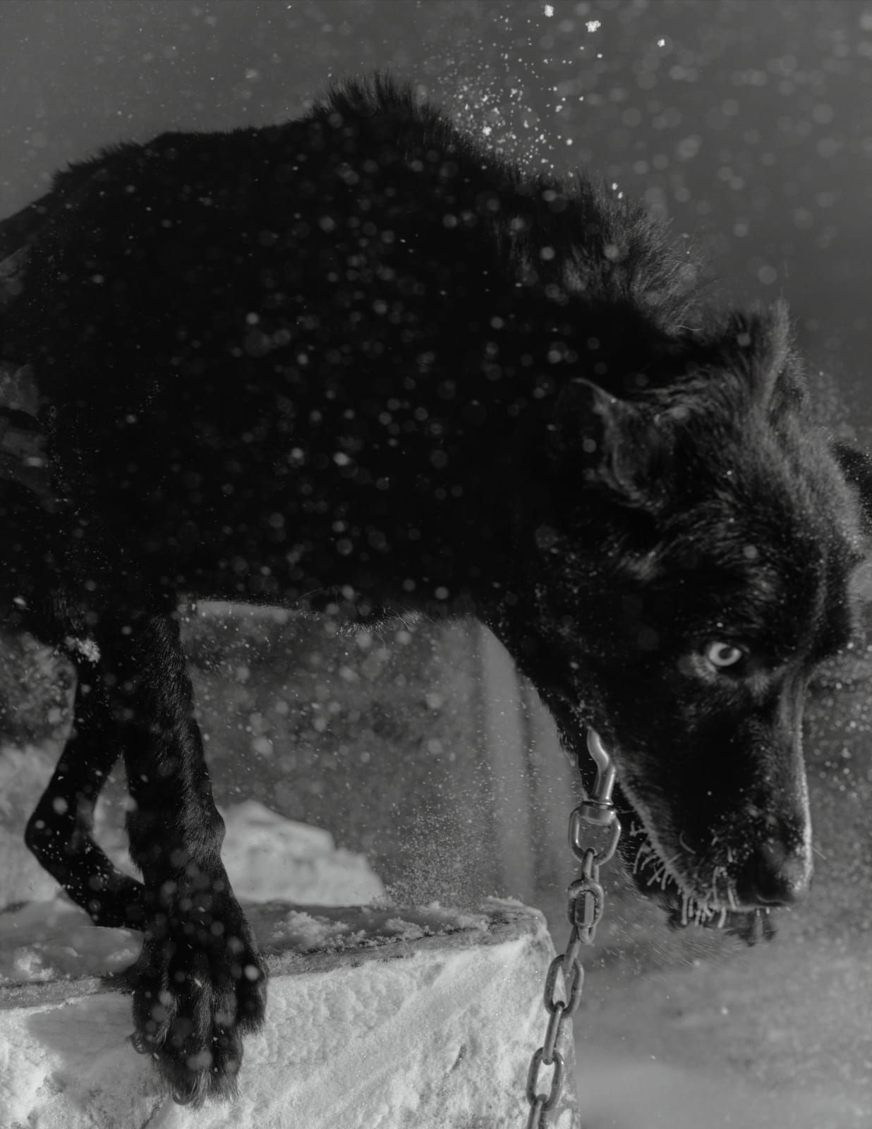 Mark Mahaney, Polar Night #21, 2019