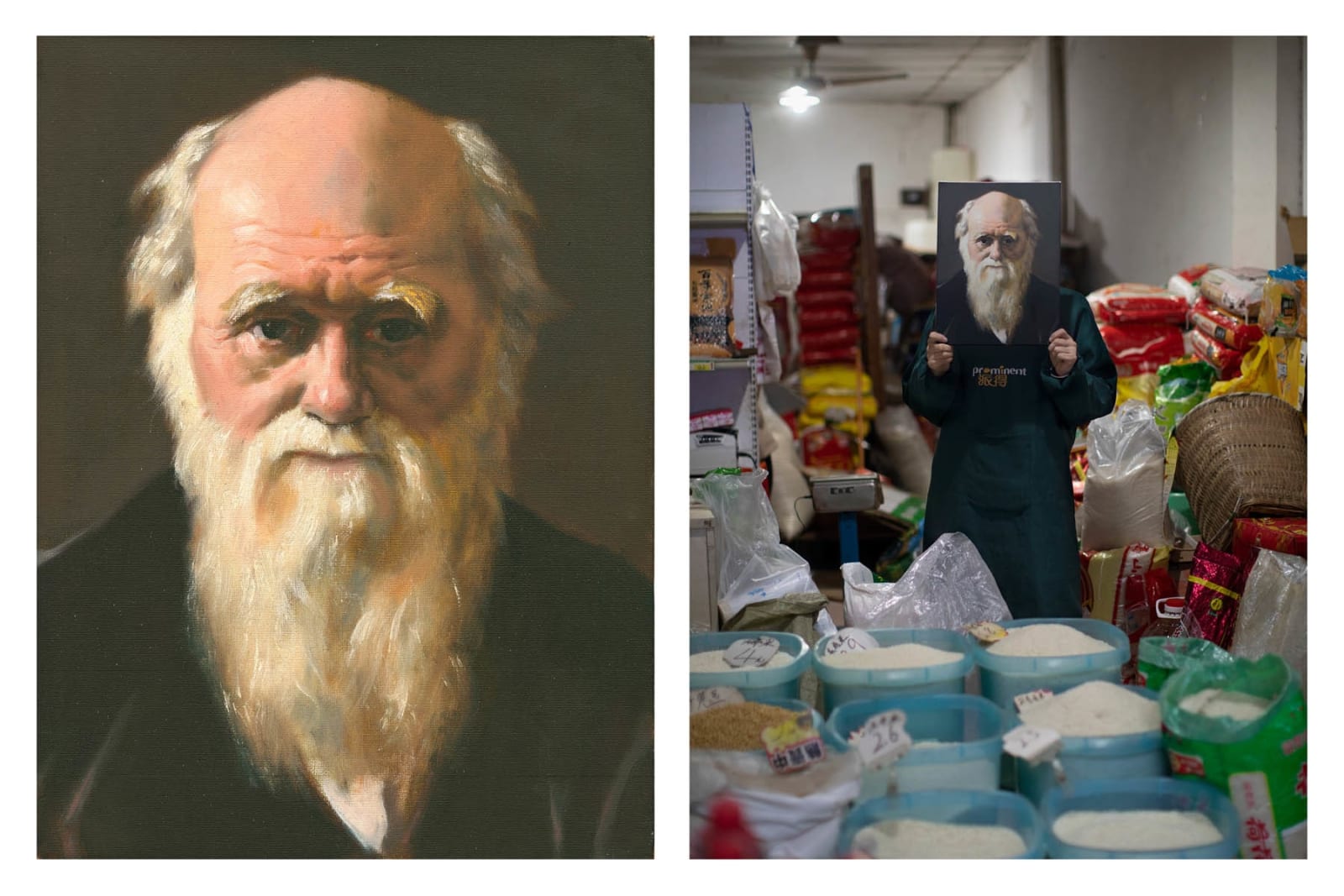 Patrick Waterhouse, The Descent of Man (Leporello), 2022