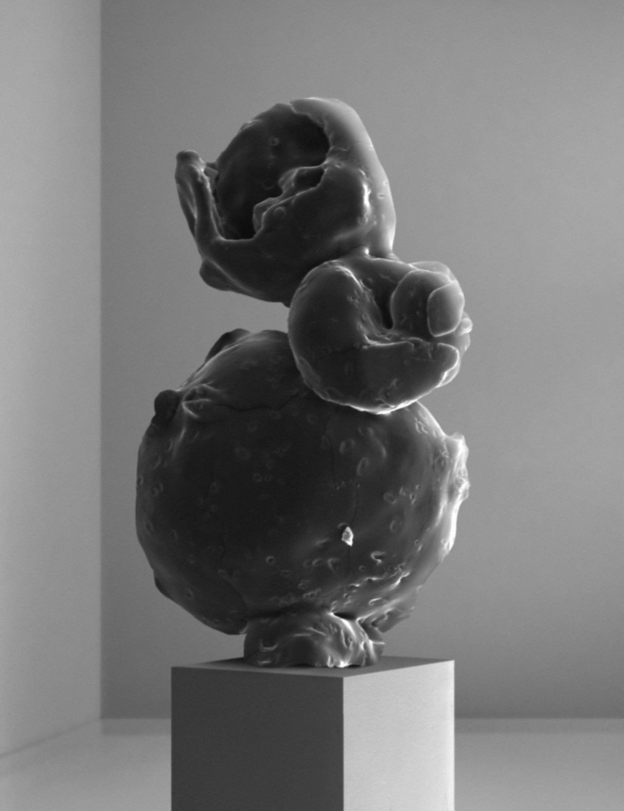 Koen Hauser, Biobased I , 2013