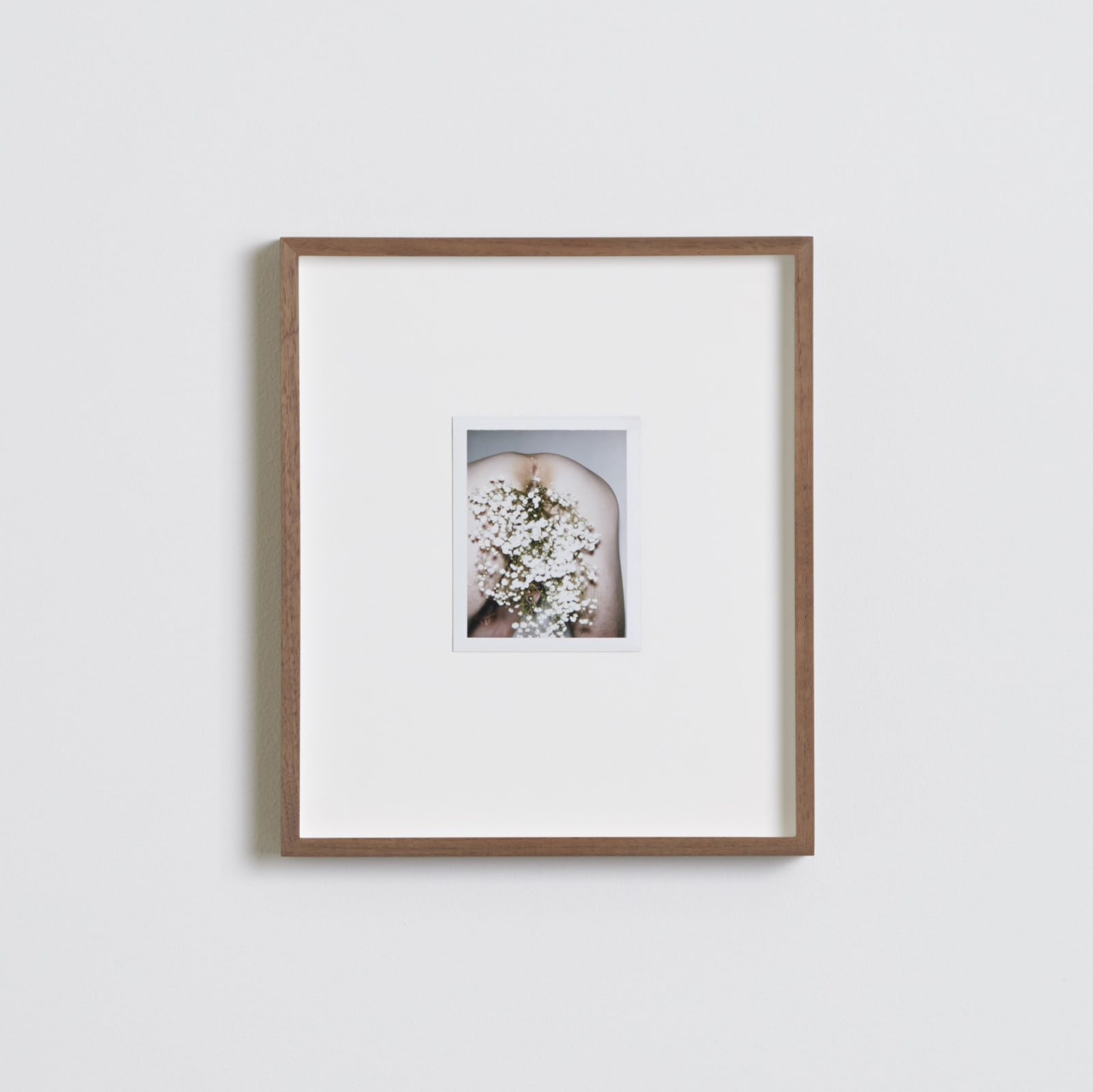 Ferry van der Nat, Jason 'Gypsophila' (August), 2018