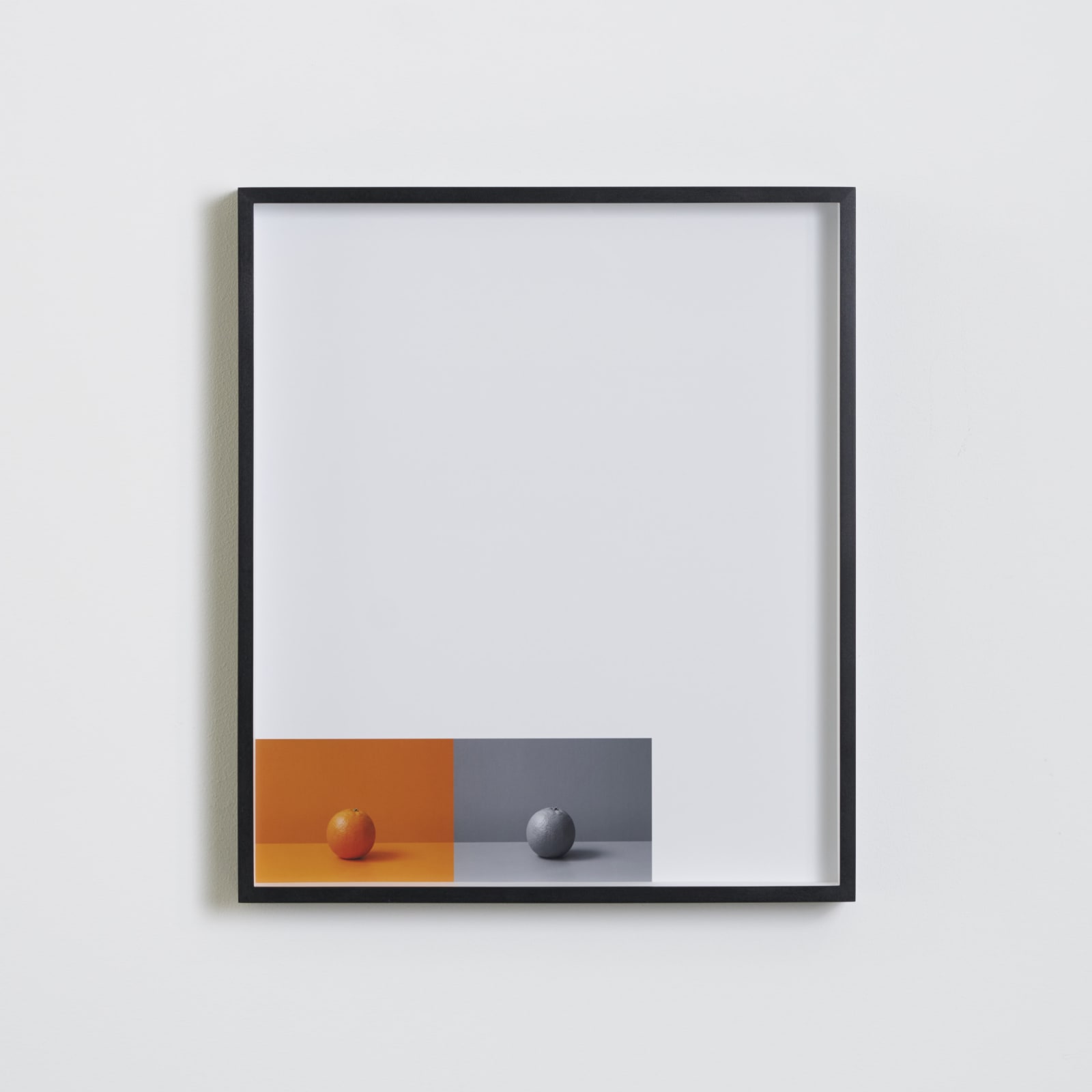 Darren Harvey-Regan, Metalepsis (fig. 1), 2013