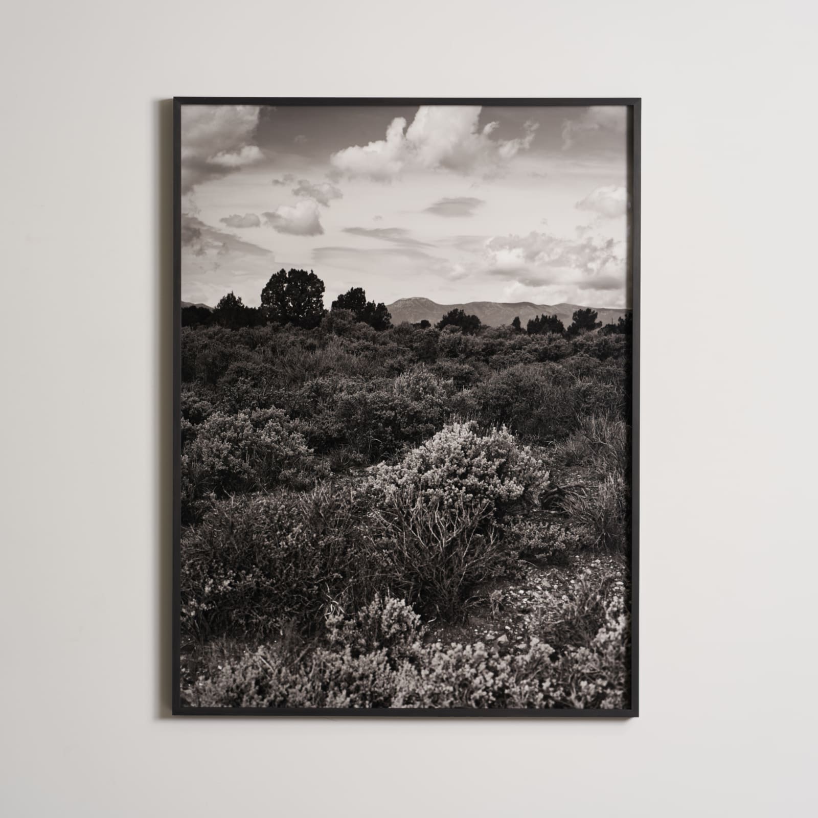Robin de Puy, If this is true... / Pioche (Nevada) (2), 2015