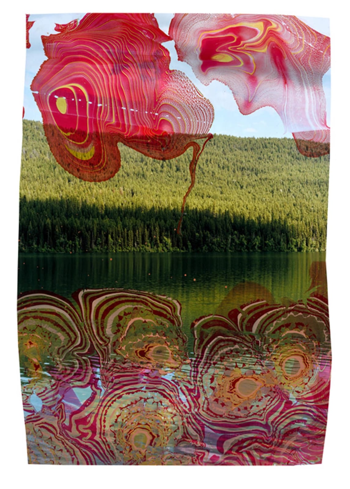 Chloe Sells, Fields of Poppies, 2019