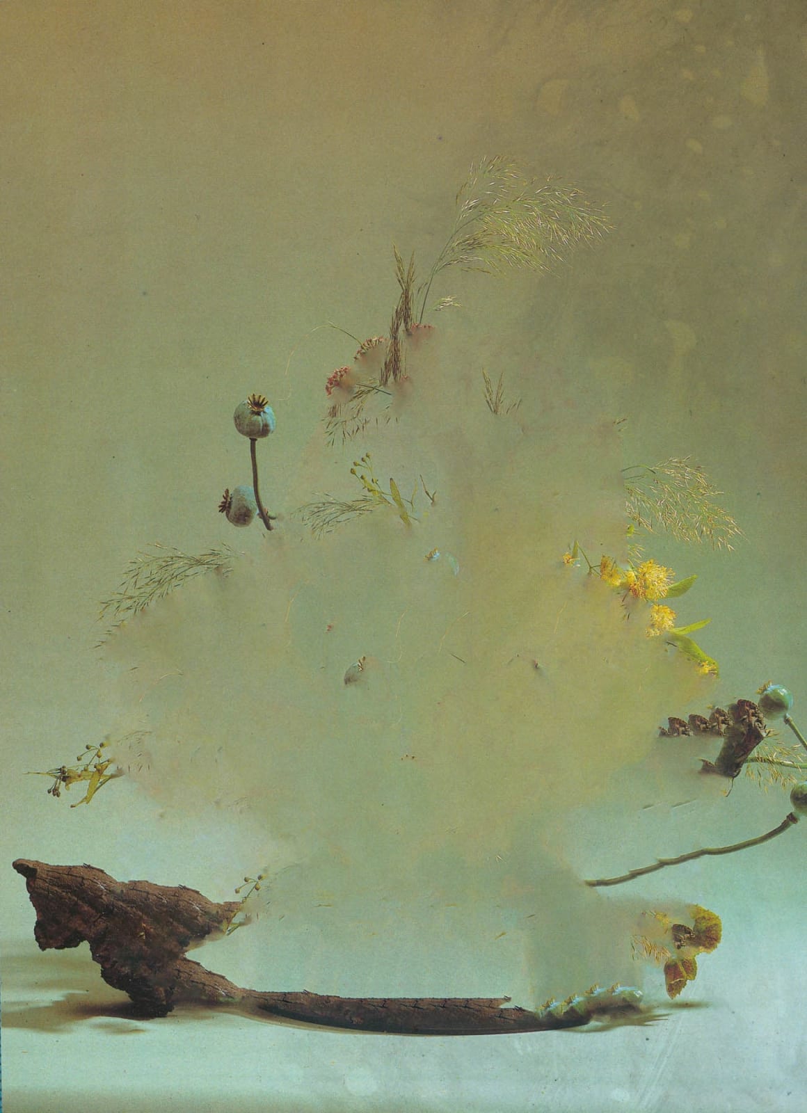 Nico Krijno, The Constellation #031, 2022