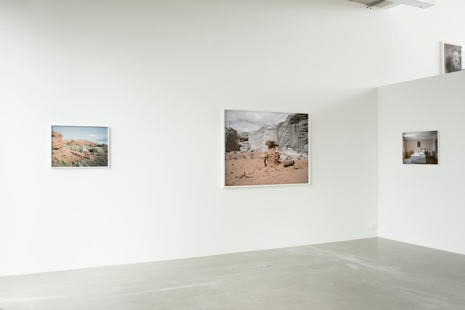 Anja Niemi, The Fall, 2018