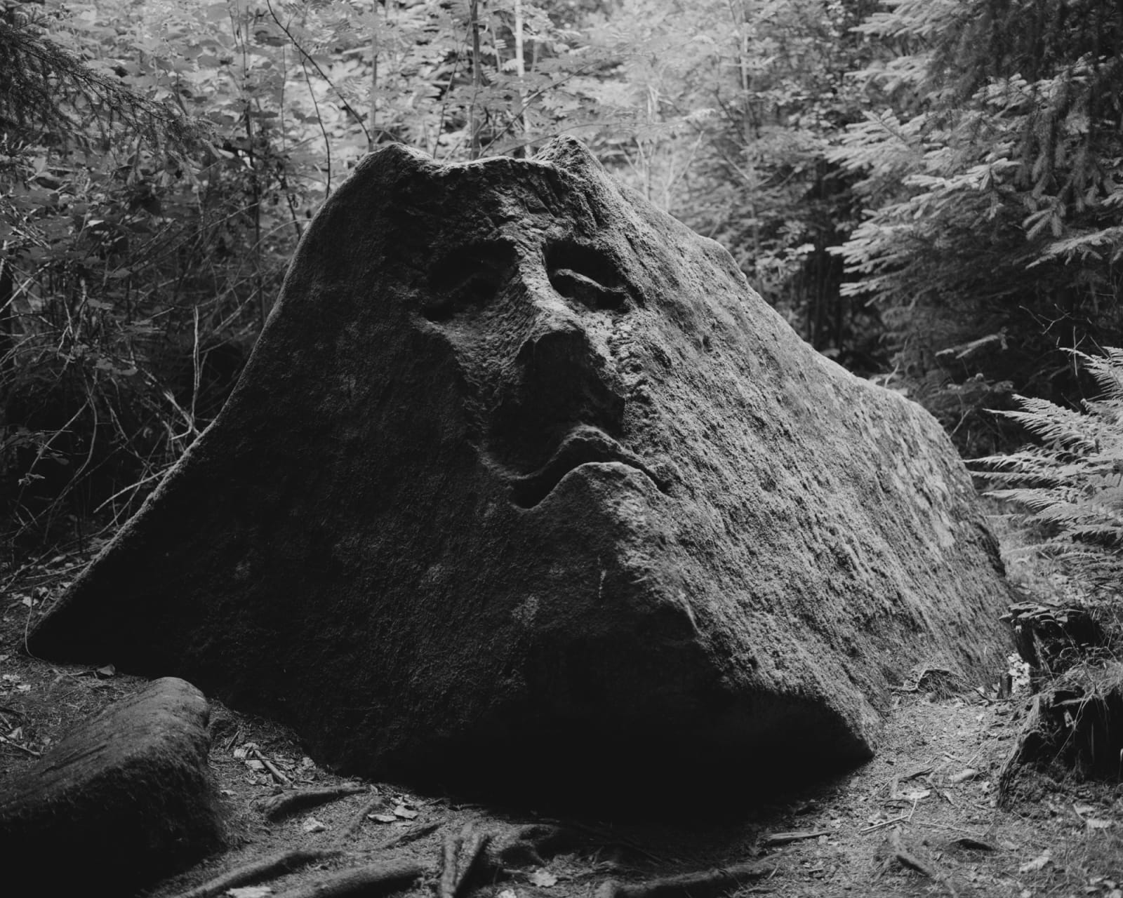 Tereza Zelenkova, Dog Cemetery, 2015