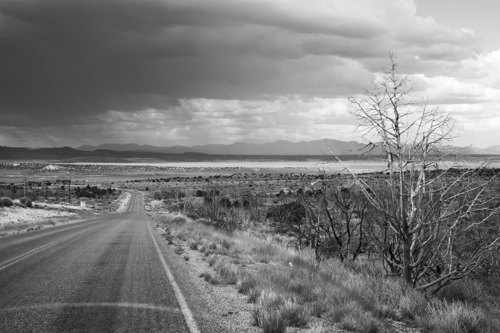 Robin de Puy, If this is true... / Pioche (Nevada), 2015