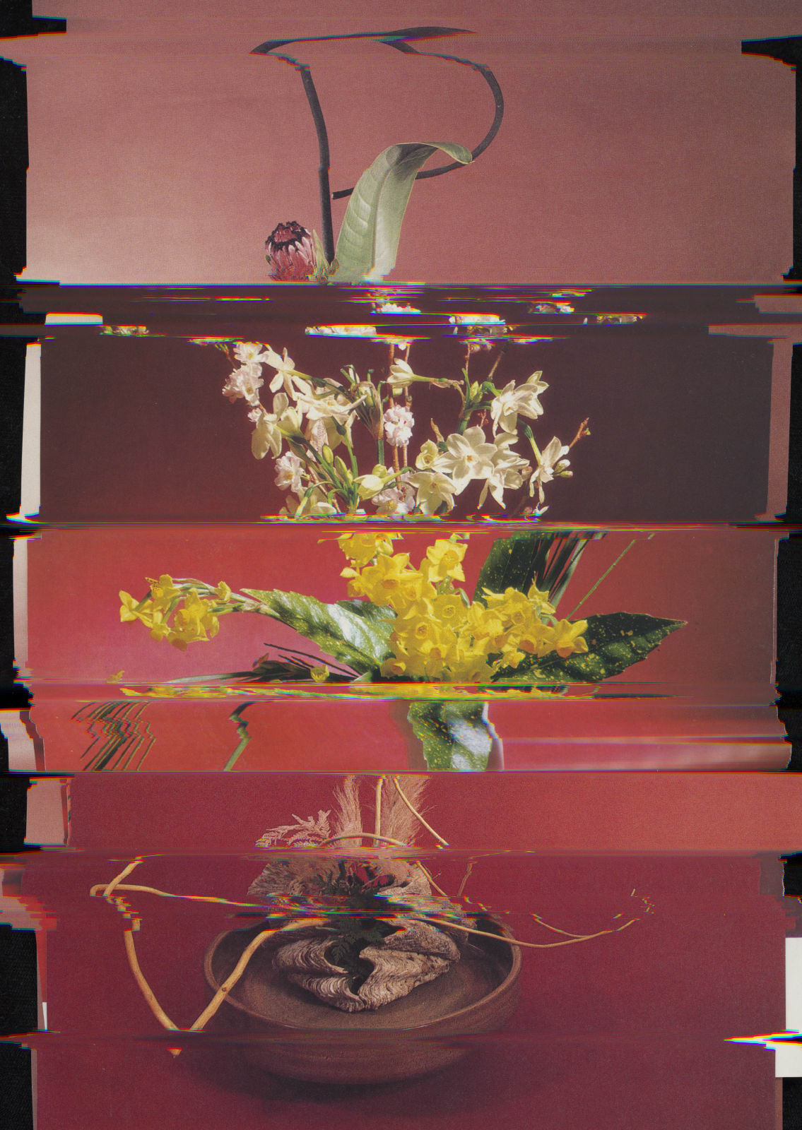 Nico Krijno, Lockdown Collage #122, 2020